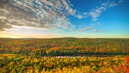 Find cheap flights from Nigeria to Michigan