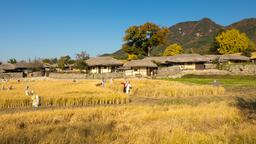 Asan hotels
