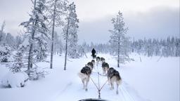 Kuusamo hotels
