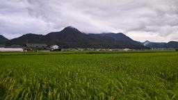 Ueda Hotels