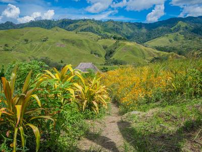 Goroka