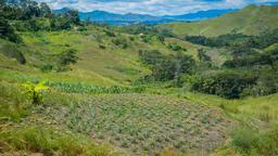 Goroka car rentals