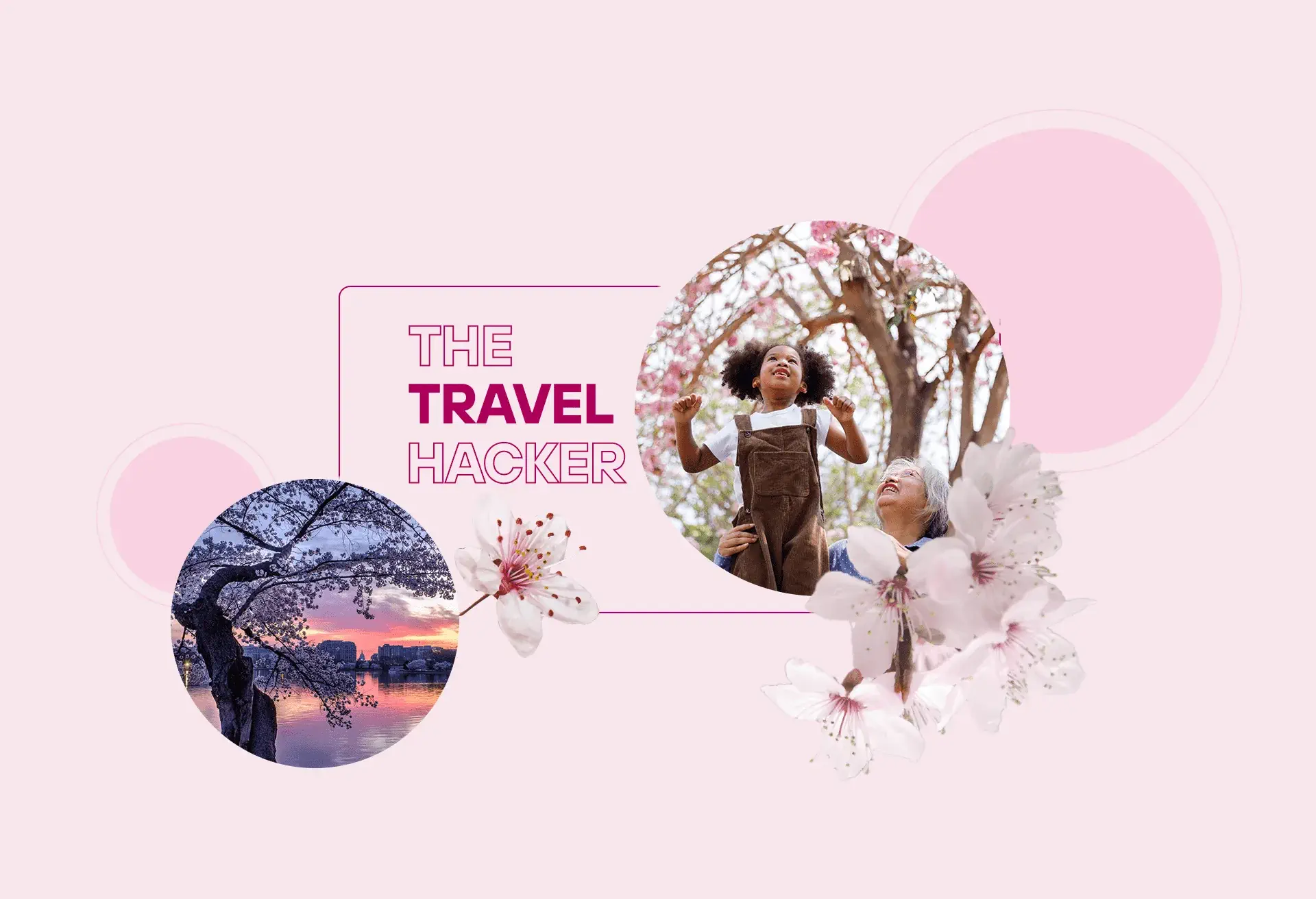 Graphic with pictures of cherry blossoms that reads: The Travel Hacker.