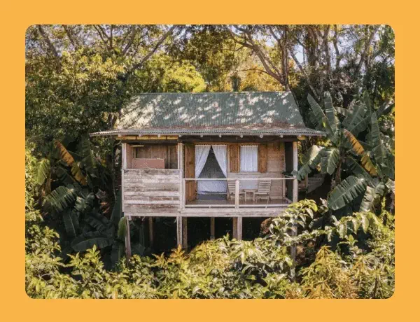 Sunlight filters through the trees onto a small, remote cabin in the woods.