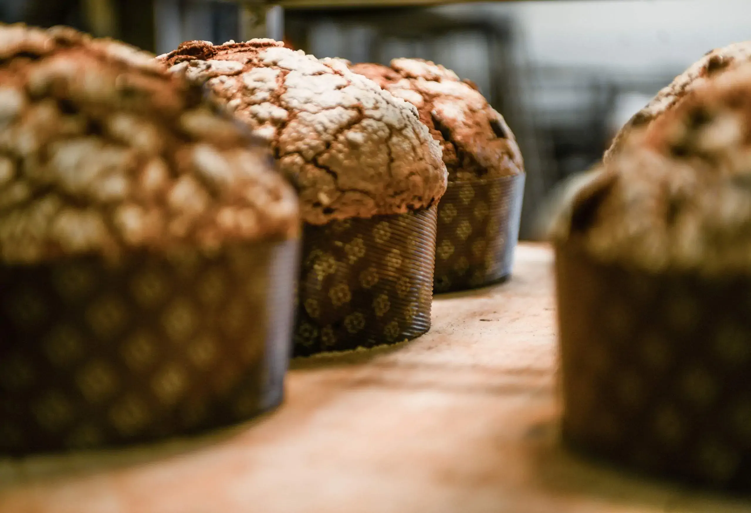 Baking a group of panettone italian christmas sweet cake in pro oven in Milan, Lombardy, Italy
