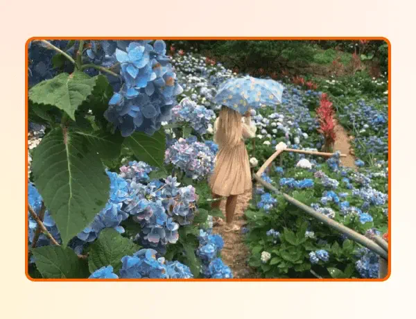 A woman walks through a garden of blue and red flowers with an umbrella over her head.
