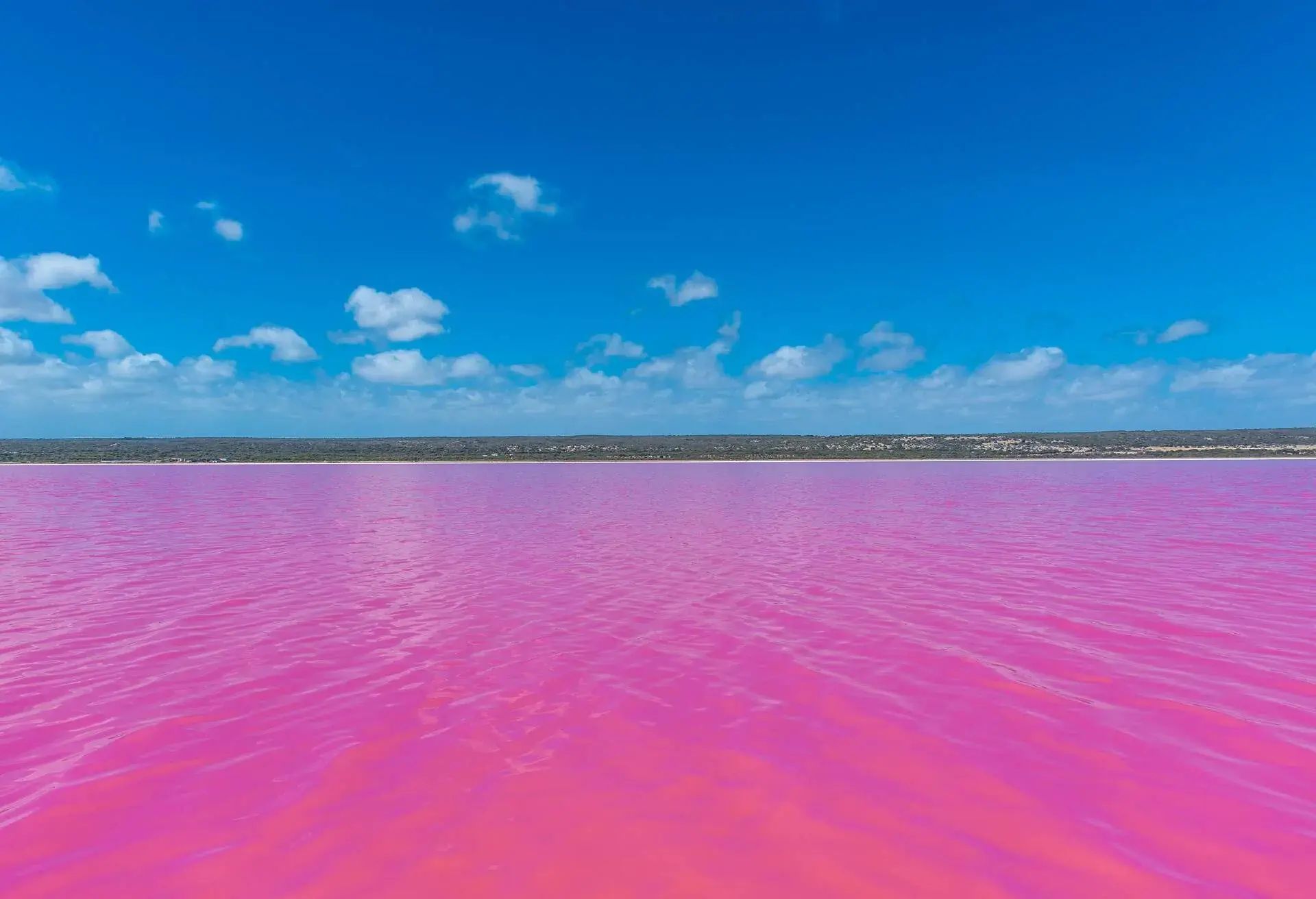 DEST_AUSTRALIA_HUTT_LAGOON_PINK_LAKE_GettyImages-1283156888-5.jpg