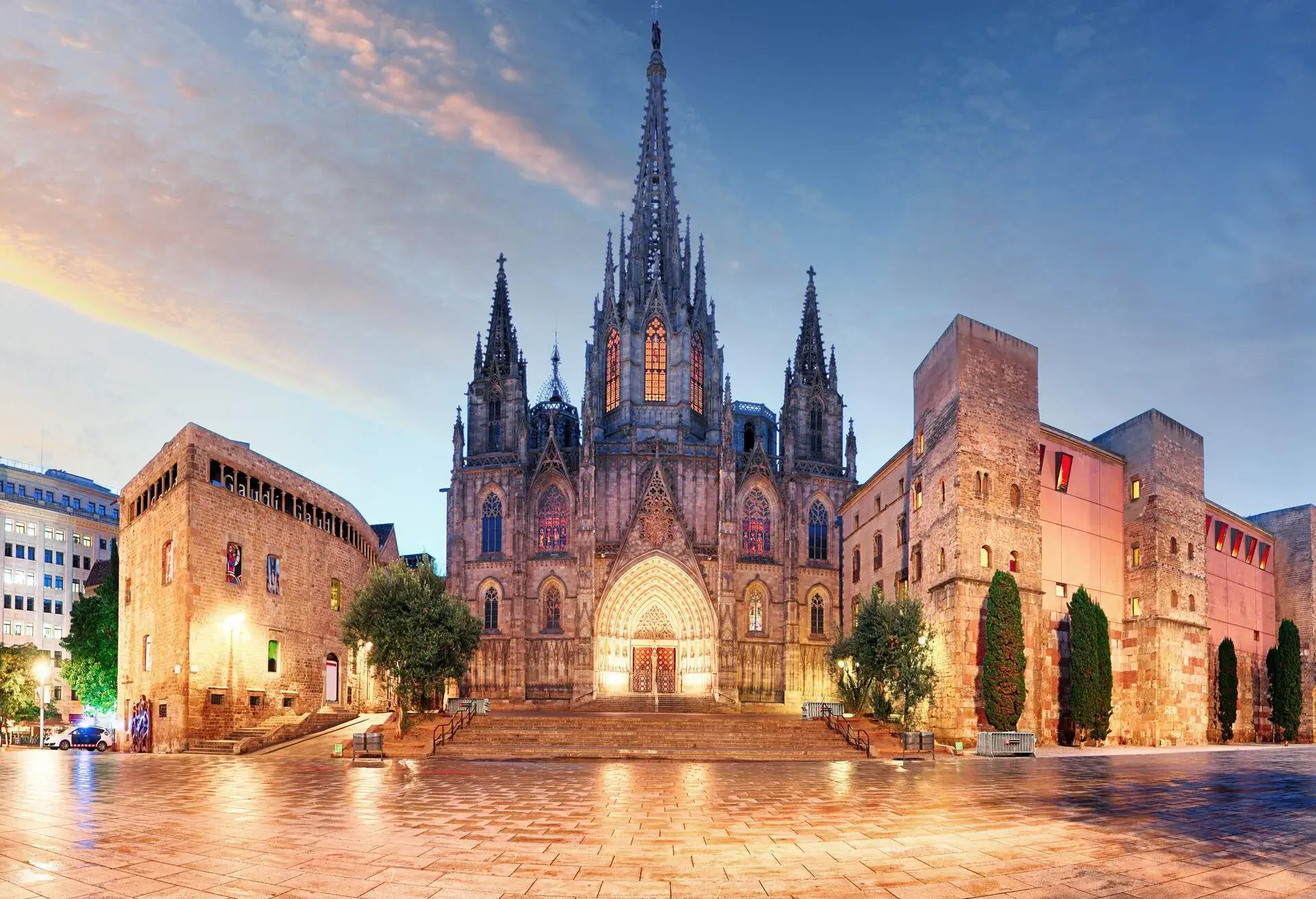 Gothic Barcelona Cathedral at night, Spain