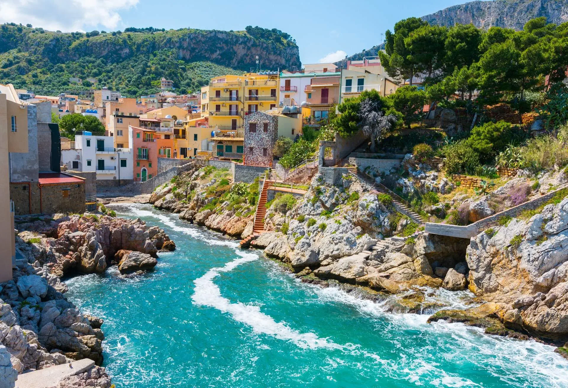 NTA-FLAVIA_shutterstock-premier_1077548516.jpg