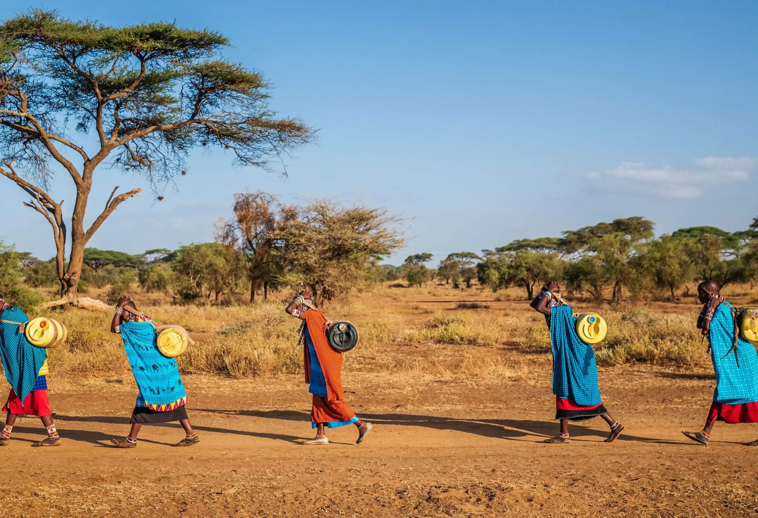 African women from Maasai tribe carrying water to their village, Kenya, Africa. African women and also children often walk long distances through the savanna to bring back containers of water. Some tourist camps cooperating with nearby villages and allow local people to use their water. Maasai tribe inhabiting southern Kenya and northern Tanzania, and they are related to the Samburu.