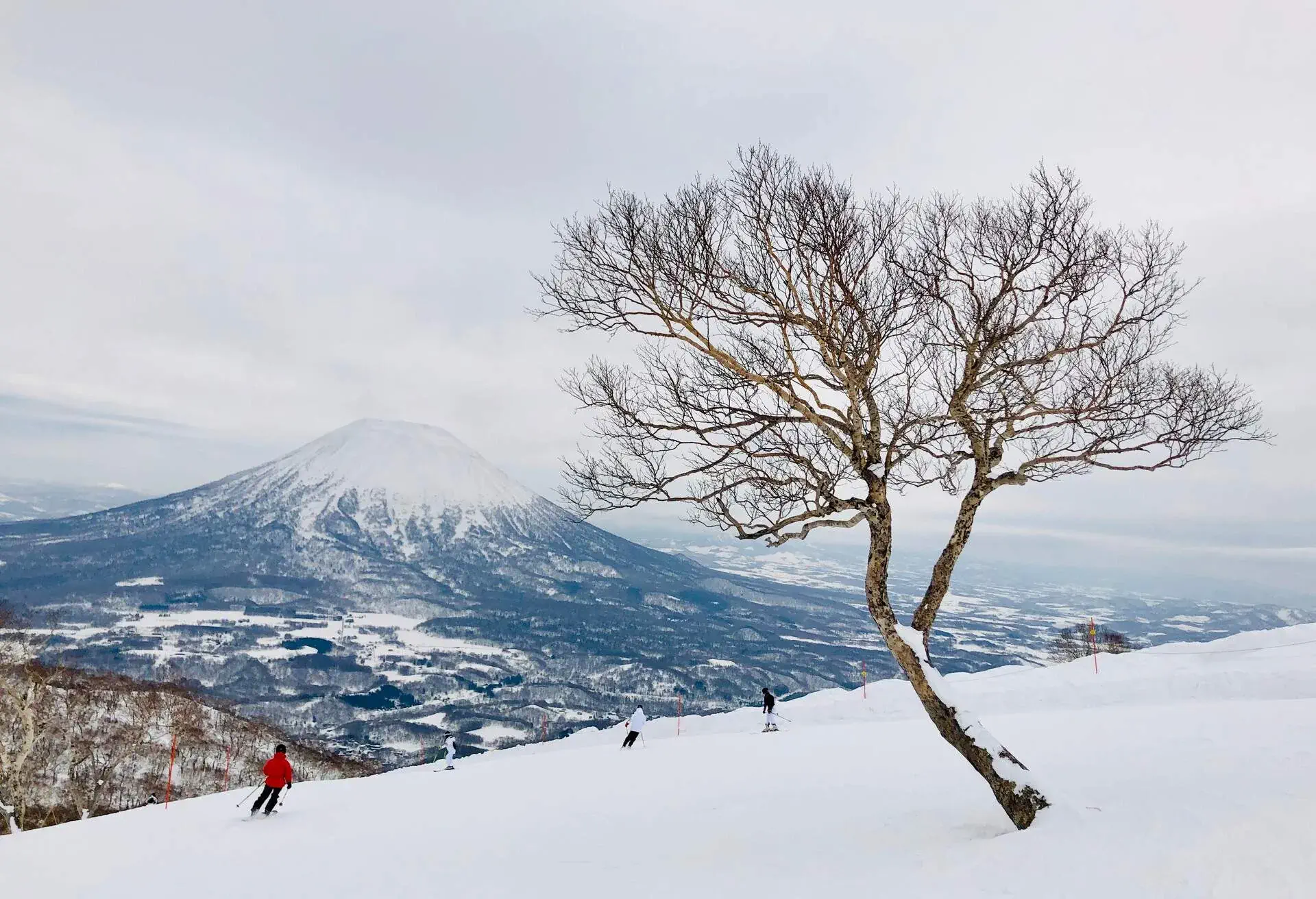 Leafless birch trees, adorned in a delicate blanket of snow, dot the ski slopes, while a snow-capped cone-shaped mountain majestically dominates the horizon.