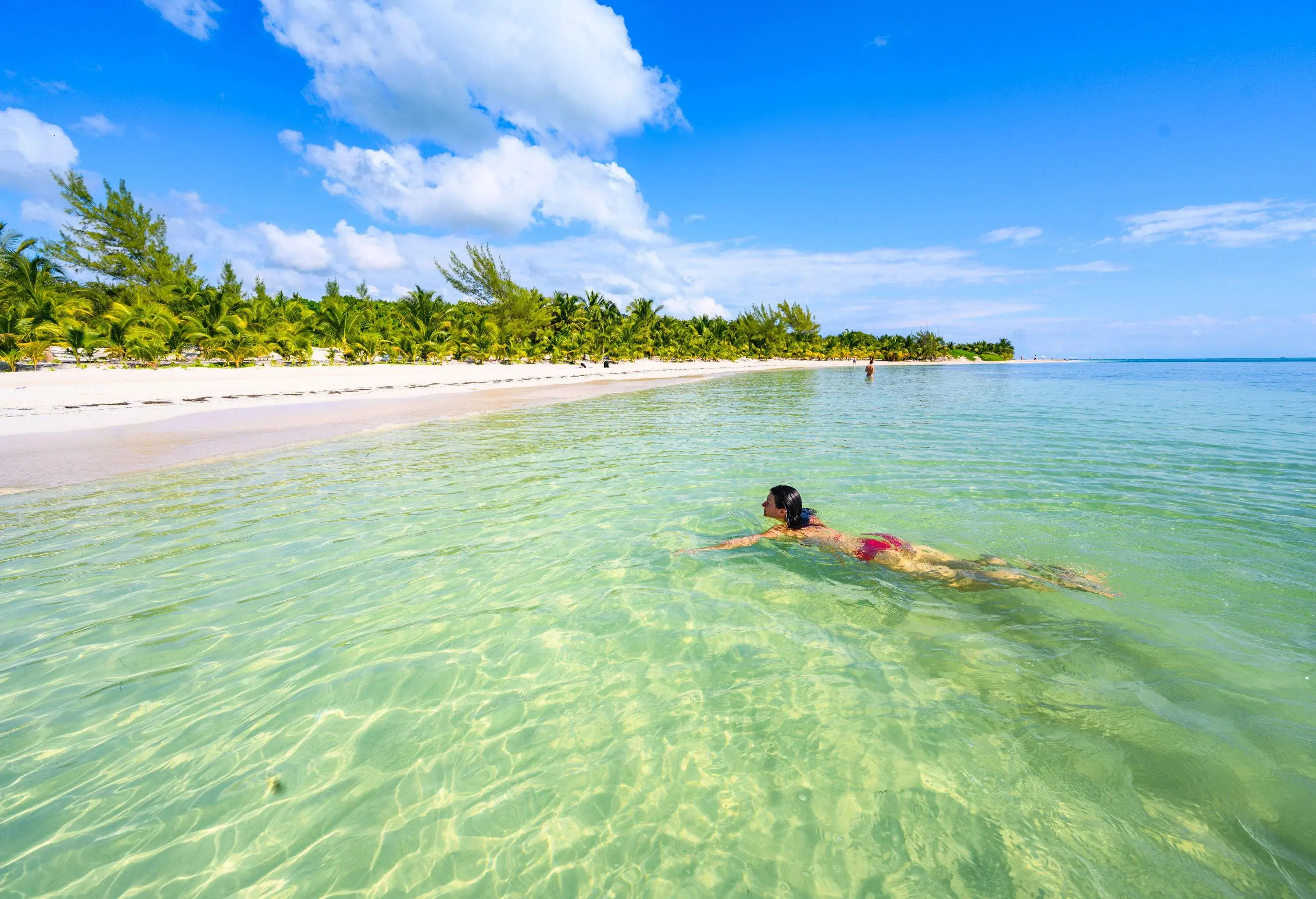 A person wearing a bikini swims in clear water with a beautiful beach and lush green shoreline visible in the background.