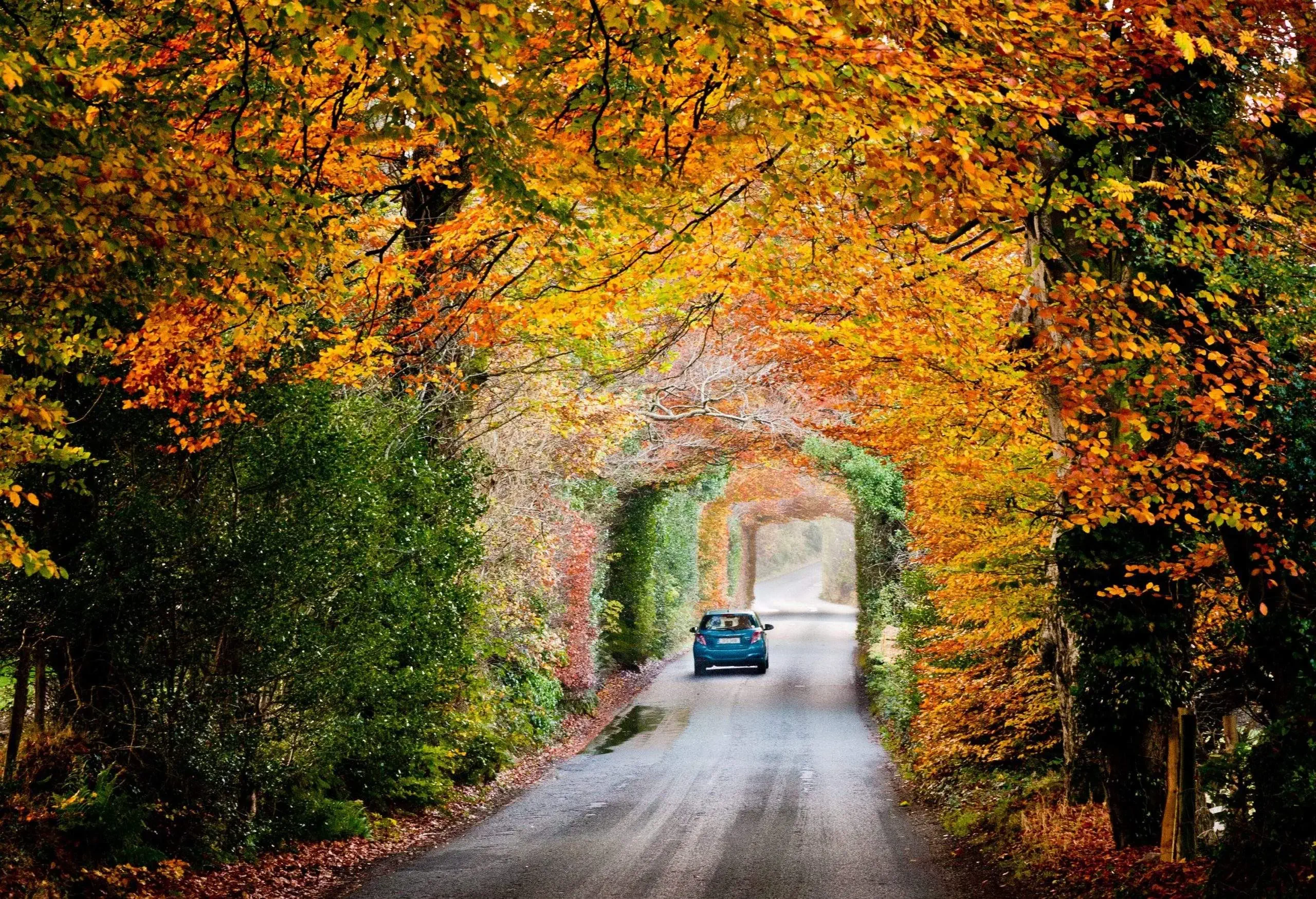 dest_ireland_wicklow_theme_car_driving-gettyimages-636364038-scaled