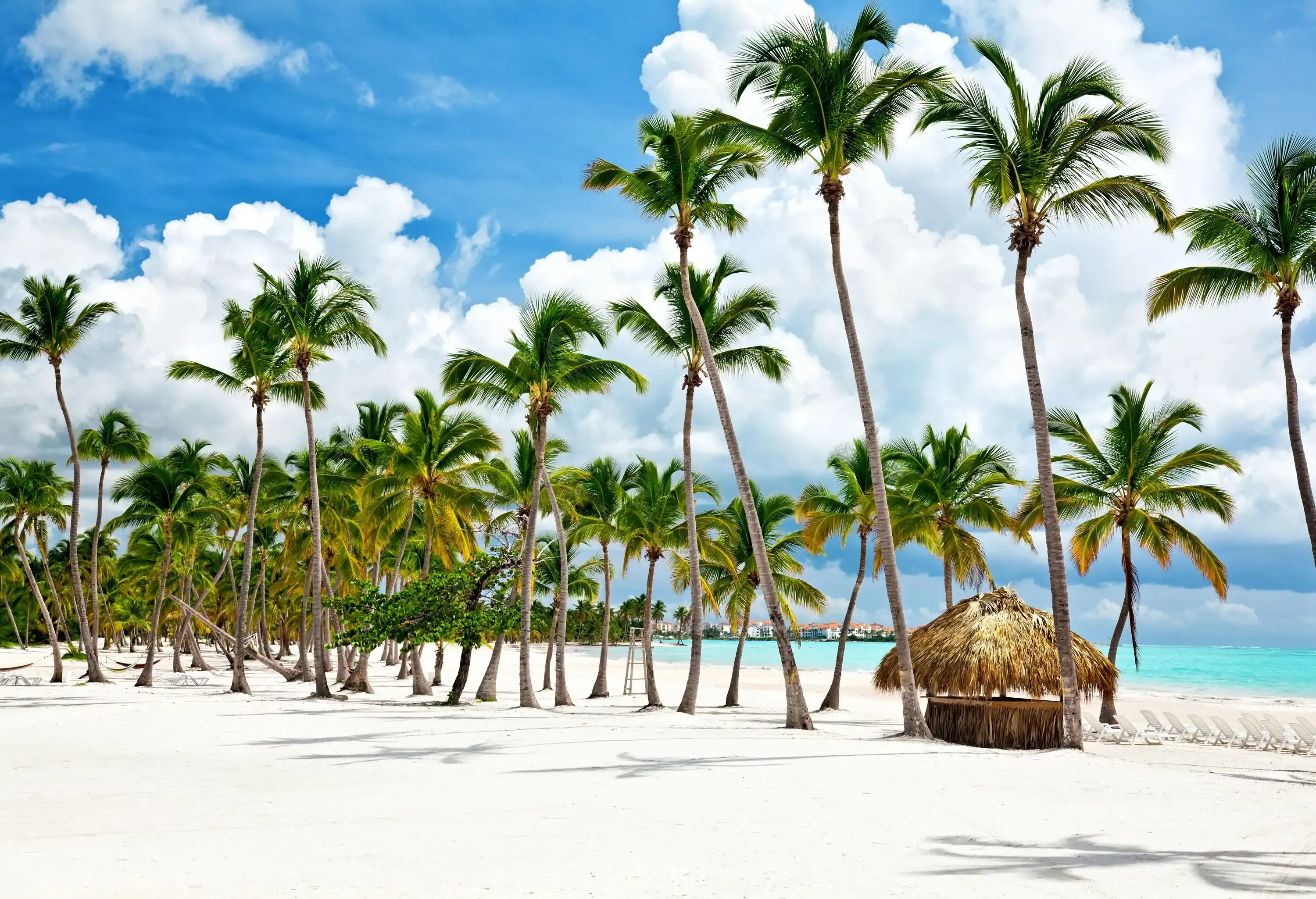 Tall tropical trees line the white sand shore surrounded by the turquoise sea under the cloudy blue sky.