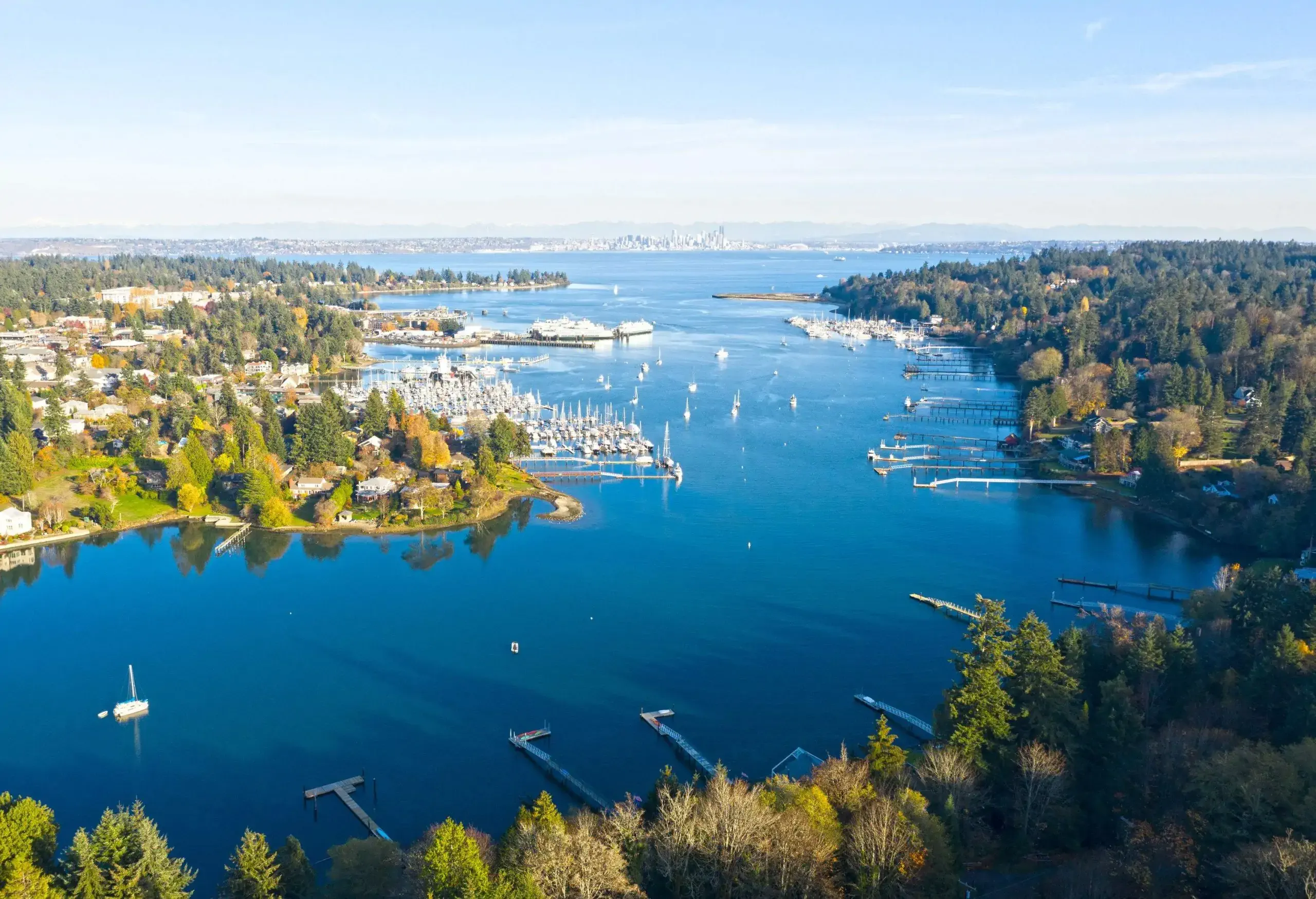 A tranquil river meanders through a lush forest, adorned with a marina where boats rest peacefully, while a charming town emerges amidst the verdant trees.