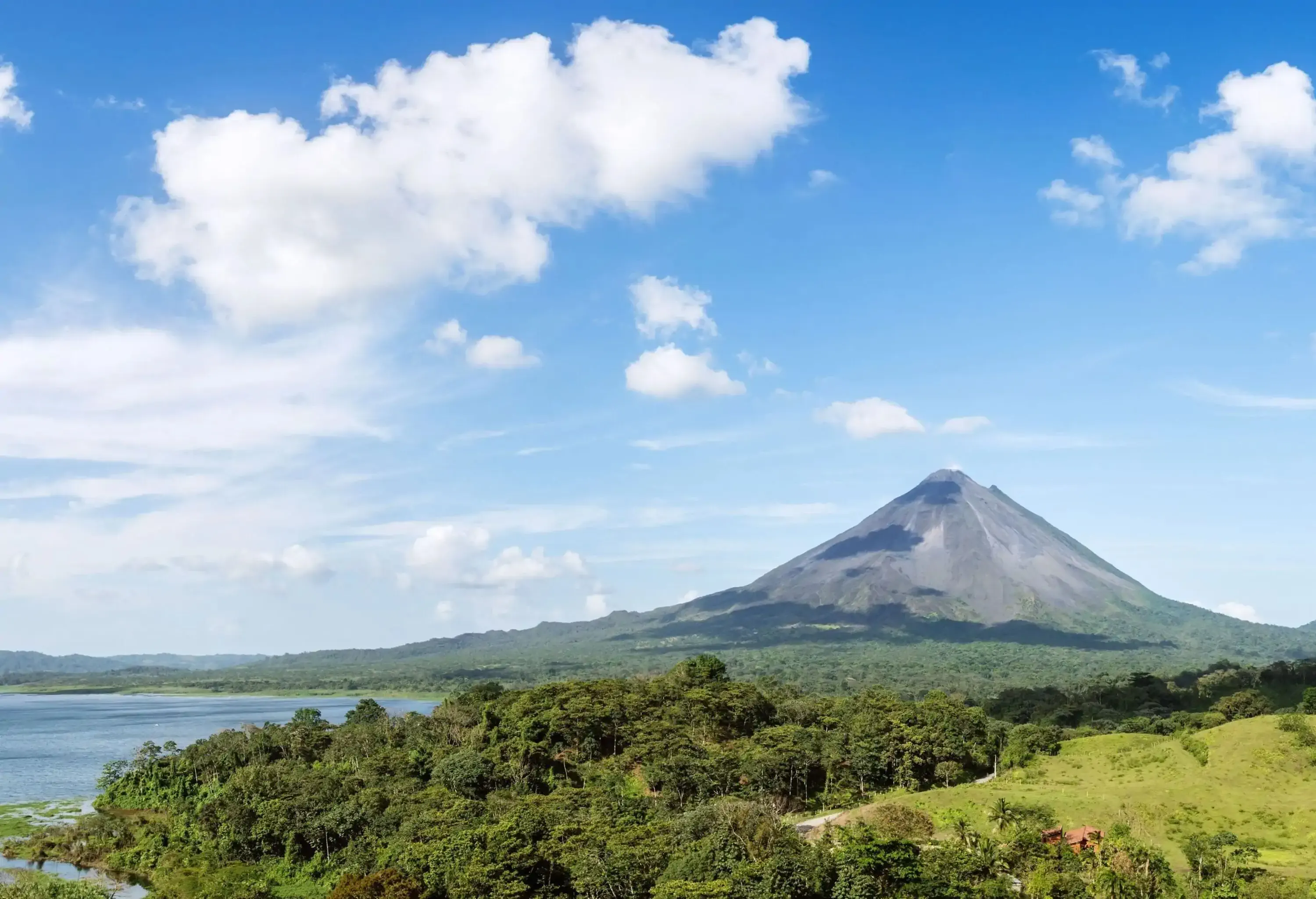 A lush wooded landscape featuring Arenal volcano in the distance, as a majestic bird soars gracefully through the sky.