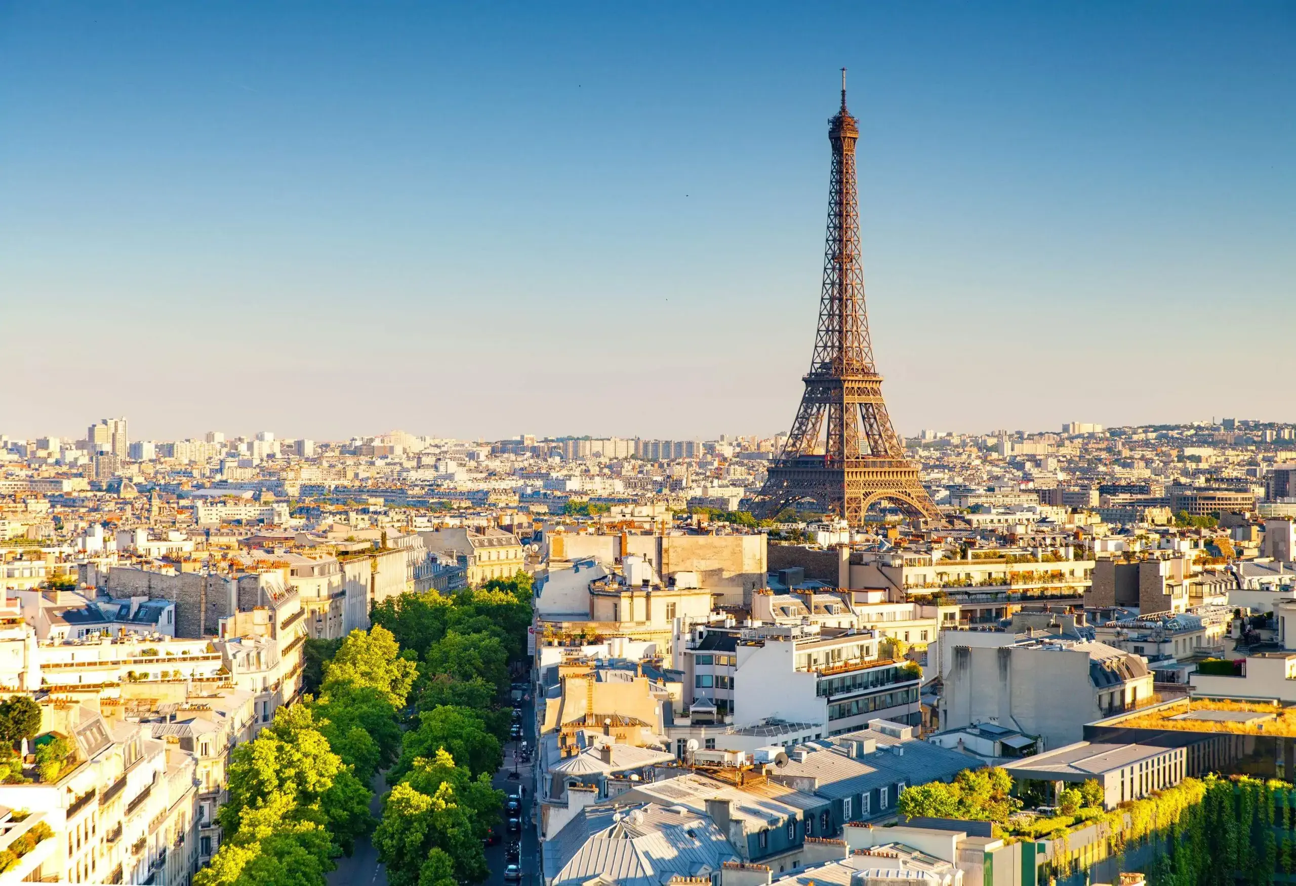 A beautiful city with streets lined with trees and the Eiffel Tower at the top of the skyline. 
