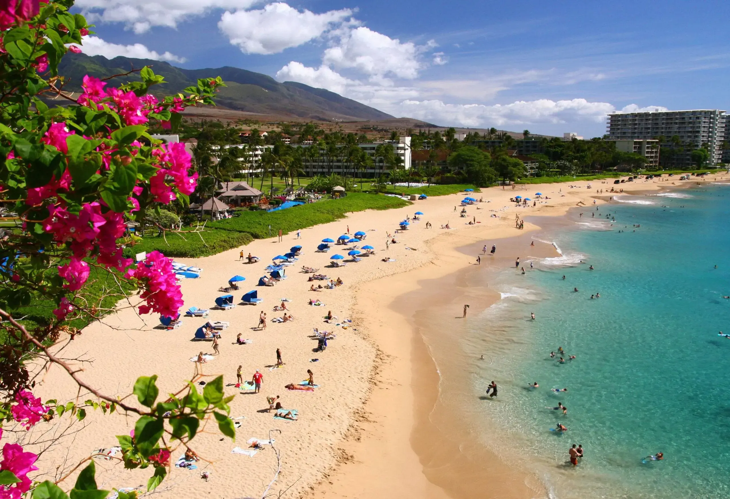 People relax on a beach with turquoise waters along a resort's green and lush lawns.