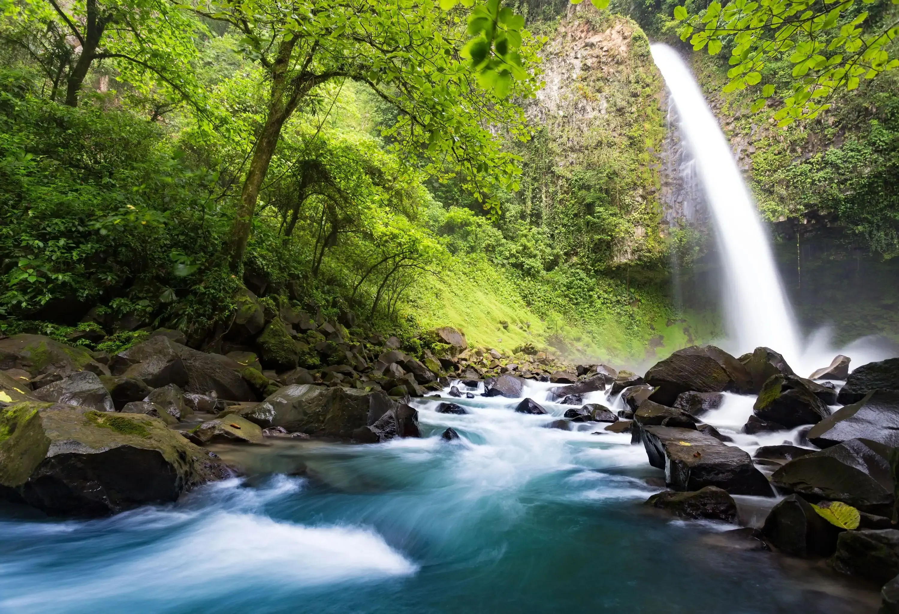 La Fortuna Waterfall cascades gracefully into a rocky stream, enveloped by a rich tapestry of lush vegetation.