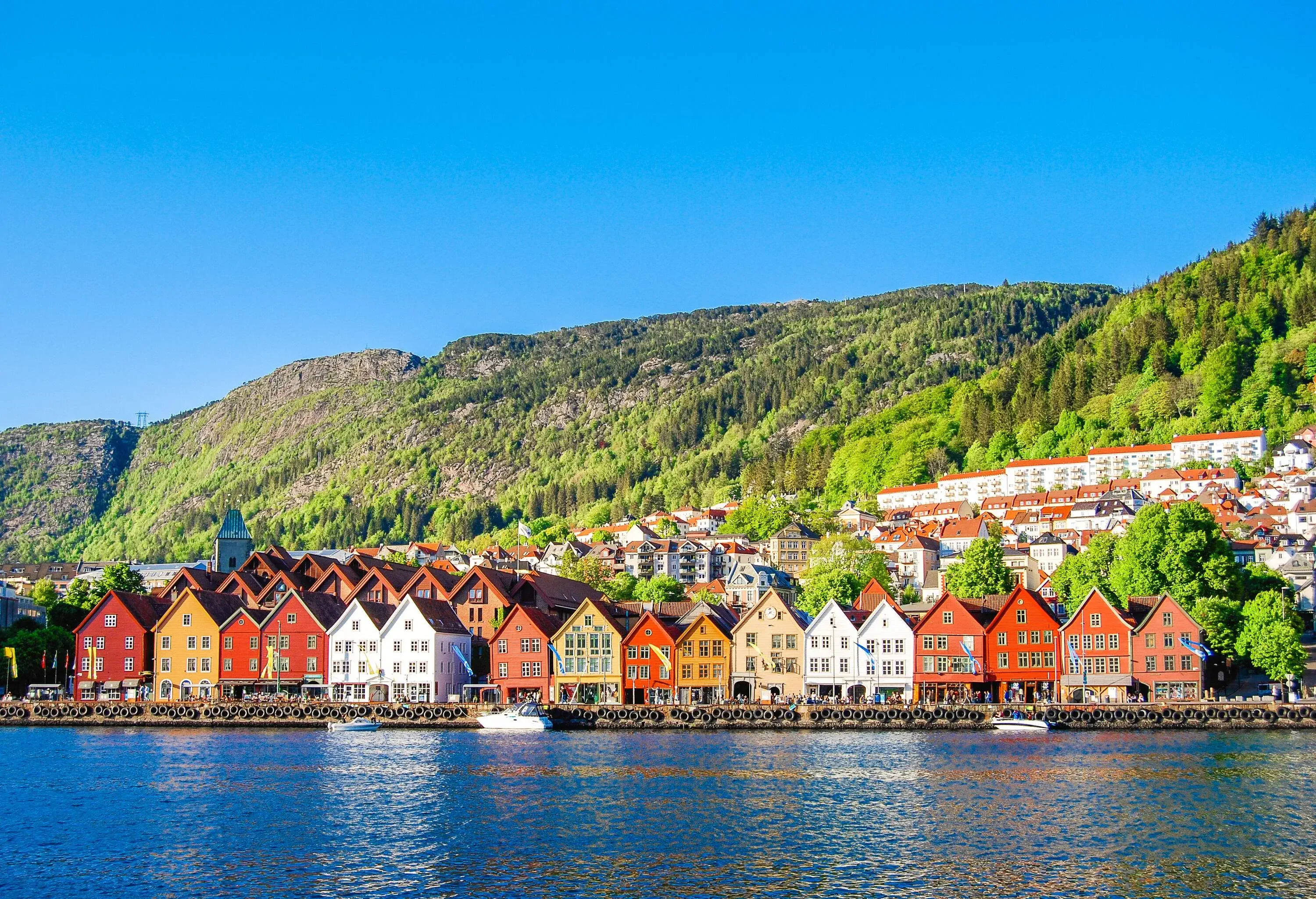 Colourful houses lined per row, sloping on the shore at the side of lush mountains.