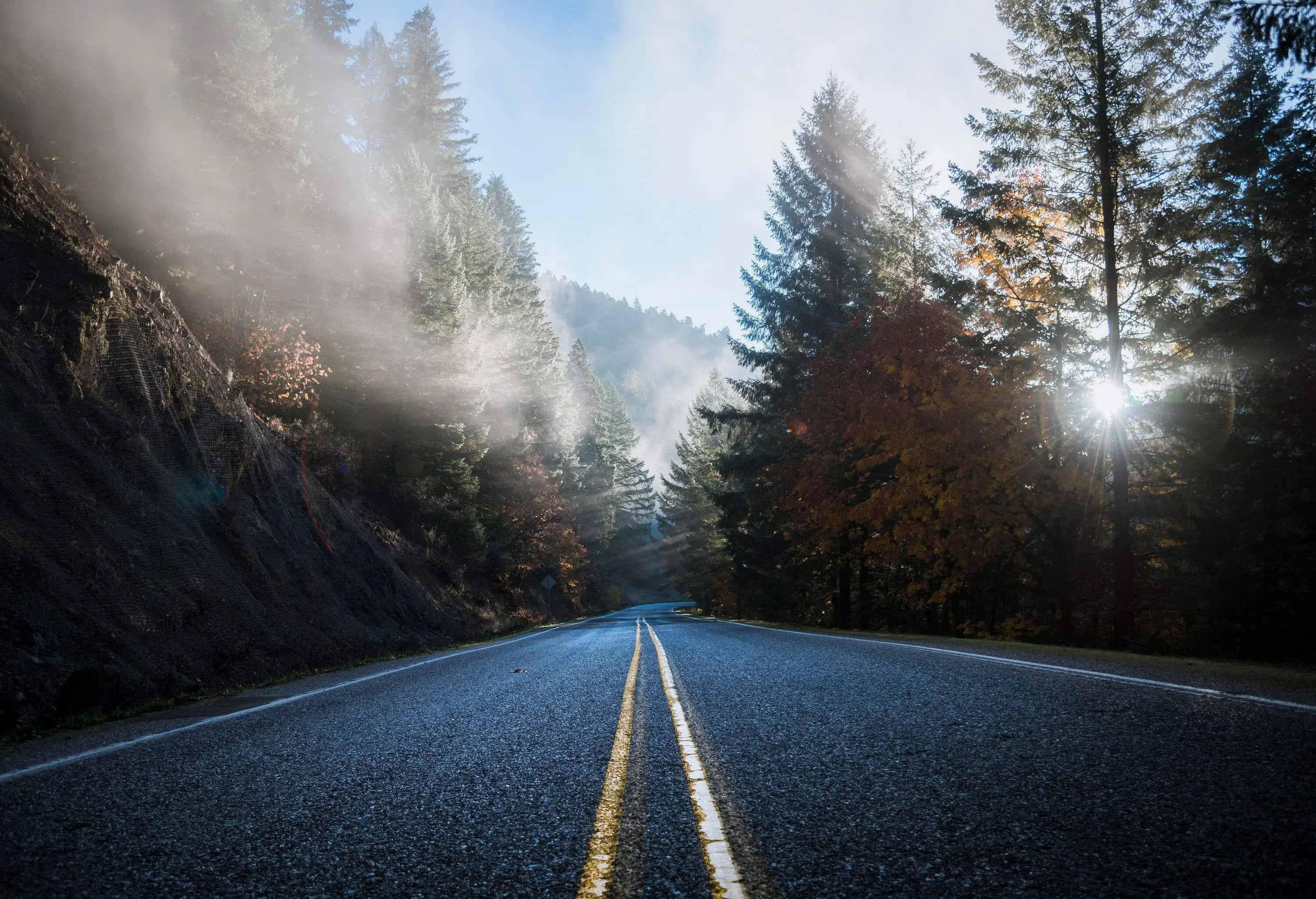 A two-lane road beside a rocky mountain with foggy autumn trees behind where the sun shines brightly.