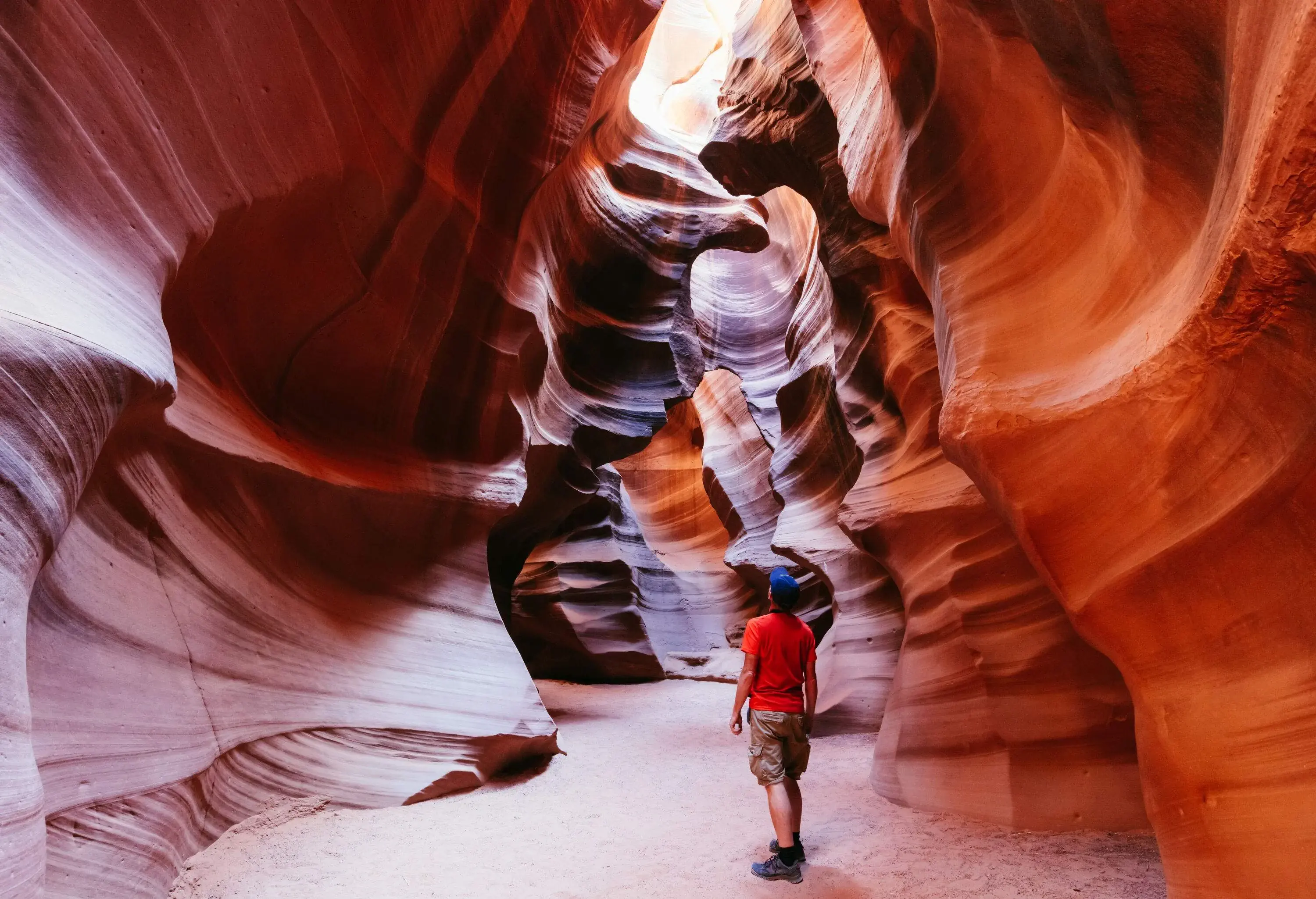 A person stands inside Antelope Canyon, gazing upward through a natural opening in the sandstone formations, immersed in a surreal world of textured beauty and the play of light.