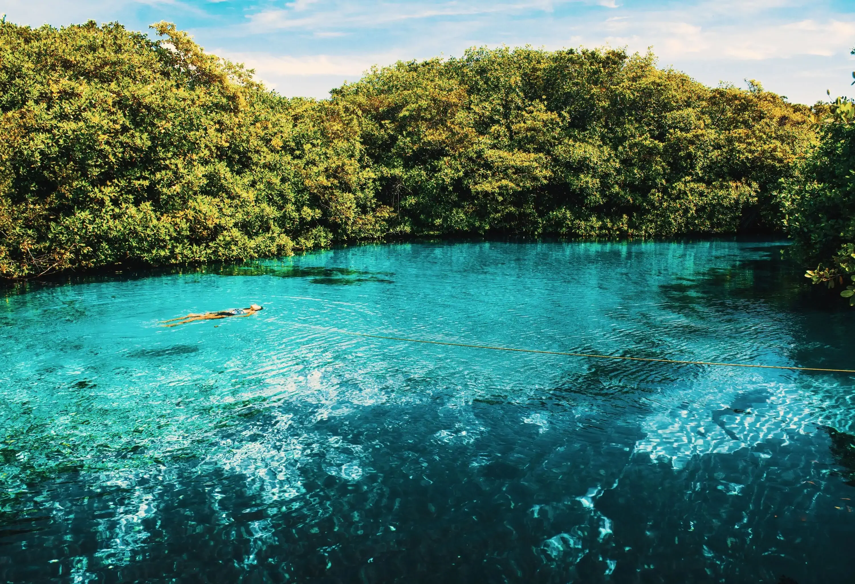 A woman floating on her back in clear blue water surrounded by lush mangroves.