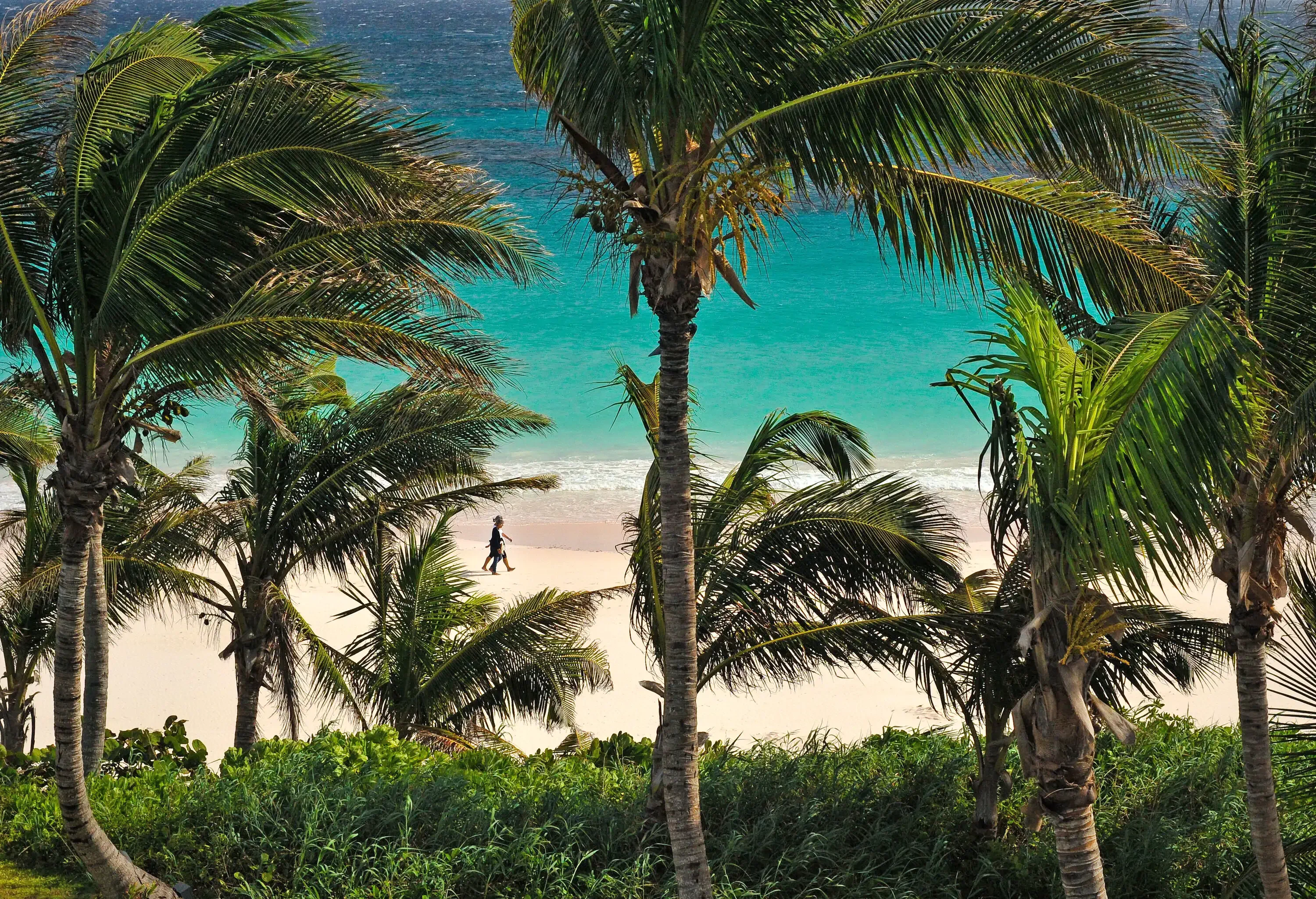Two women framed by palm trees as they walk along Pink Sands Beach, Harbour Island, Bahamas
