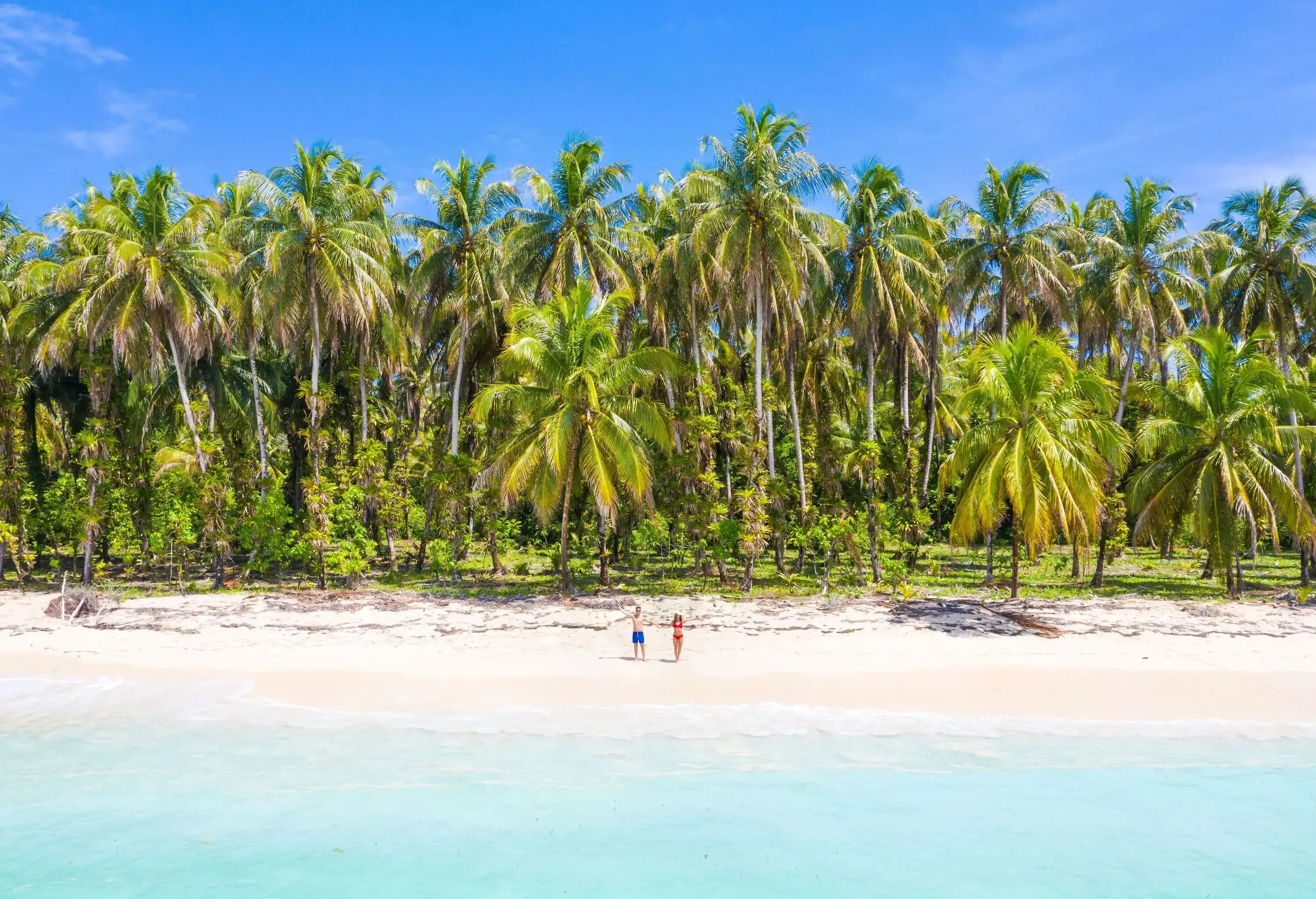Two people dressed for swimming standing on a tropical beach with white sand and coconut trees.