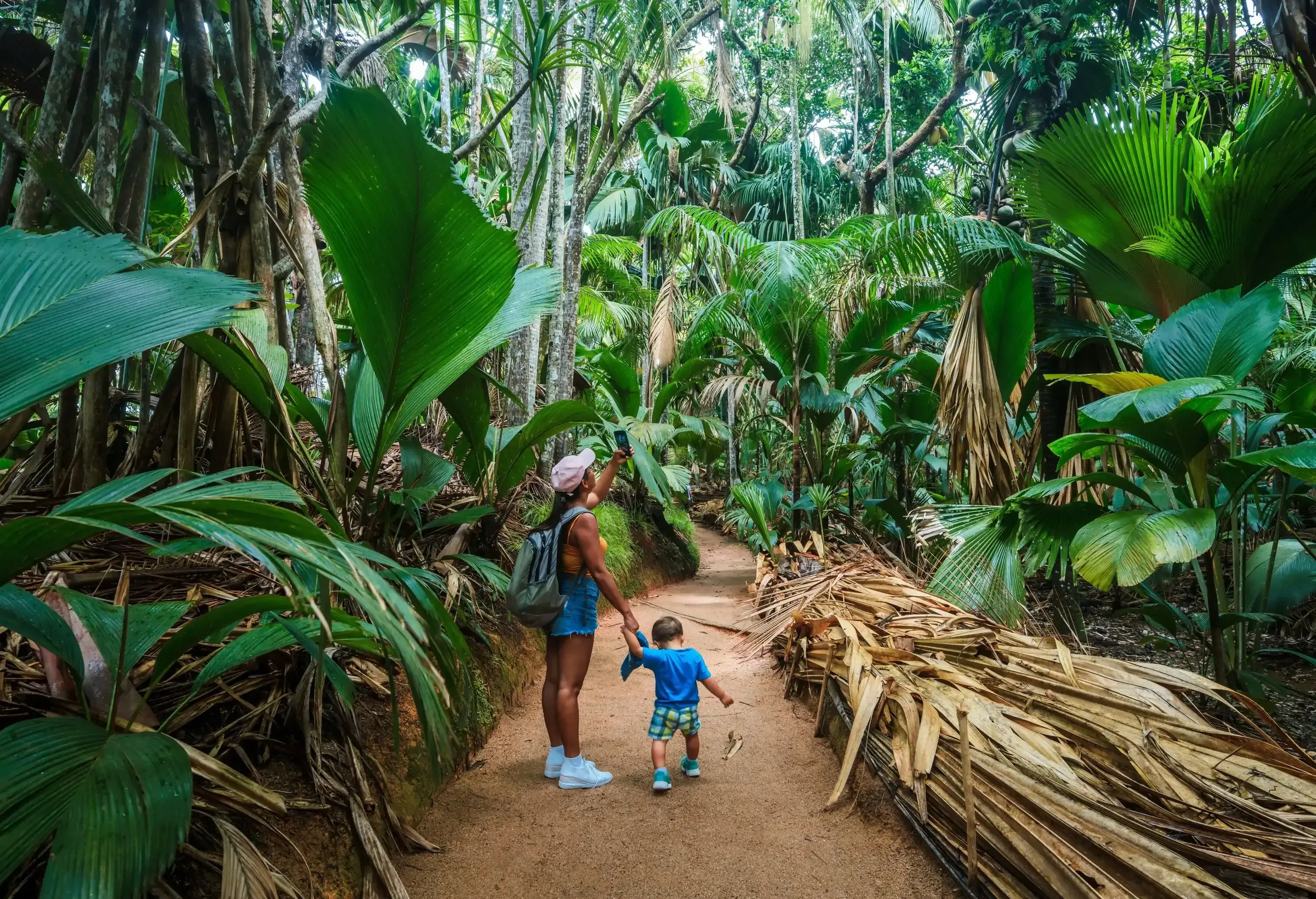 Mother with baby in the tropical rainforest, Praslin Island, Seychelles