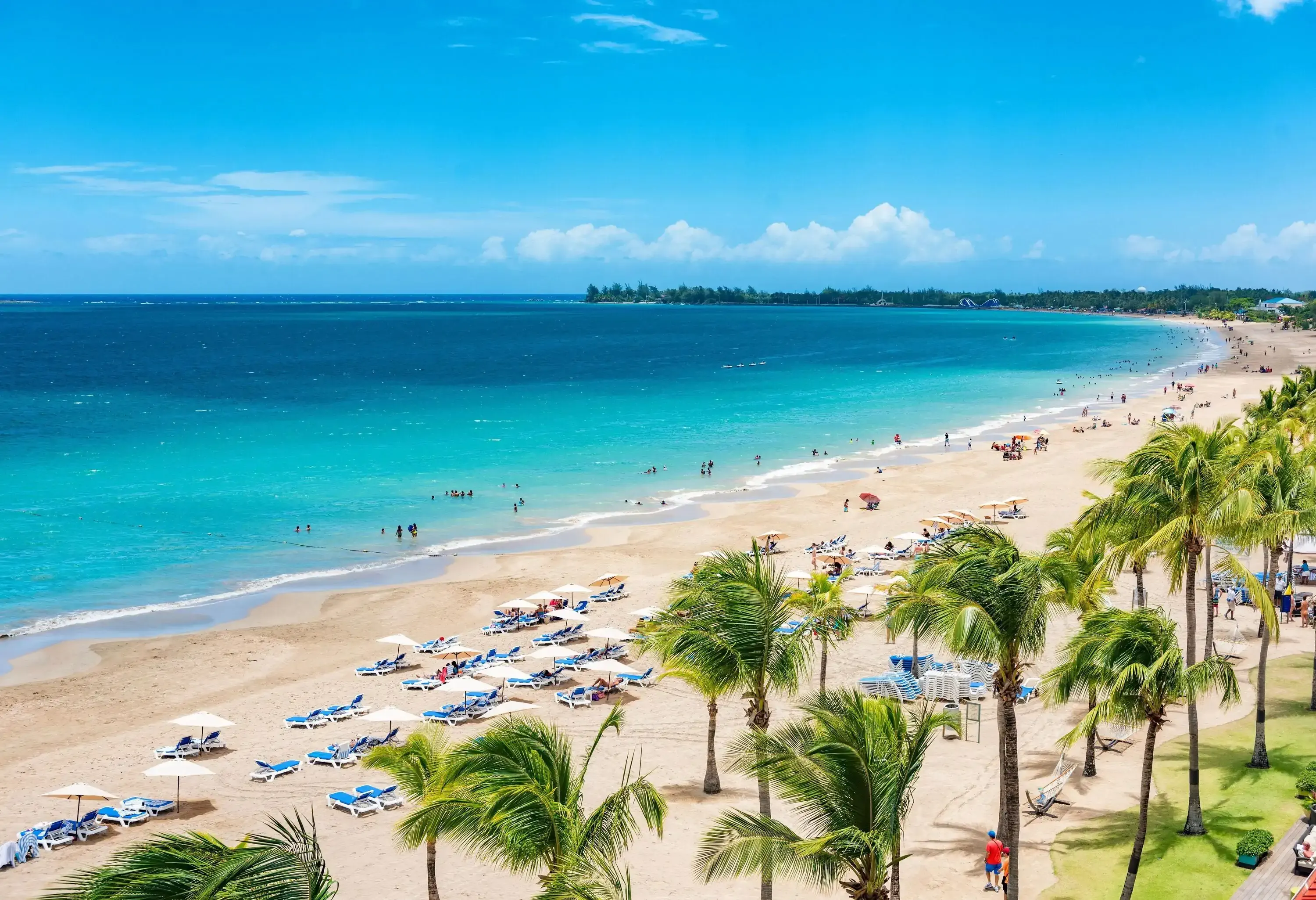 A coconut-tree lined beach equipped with umbrellas and loungers perfect for watching the waves crash on the shore.