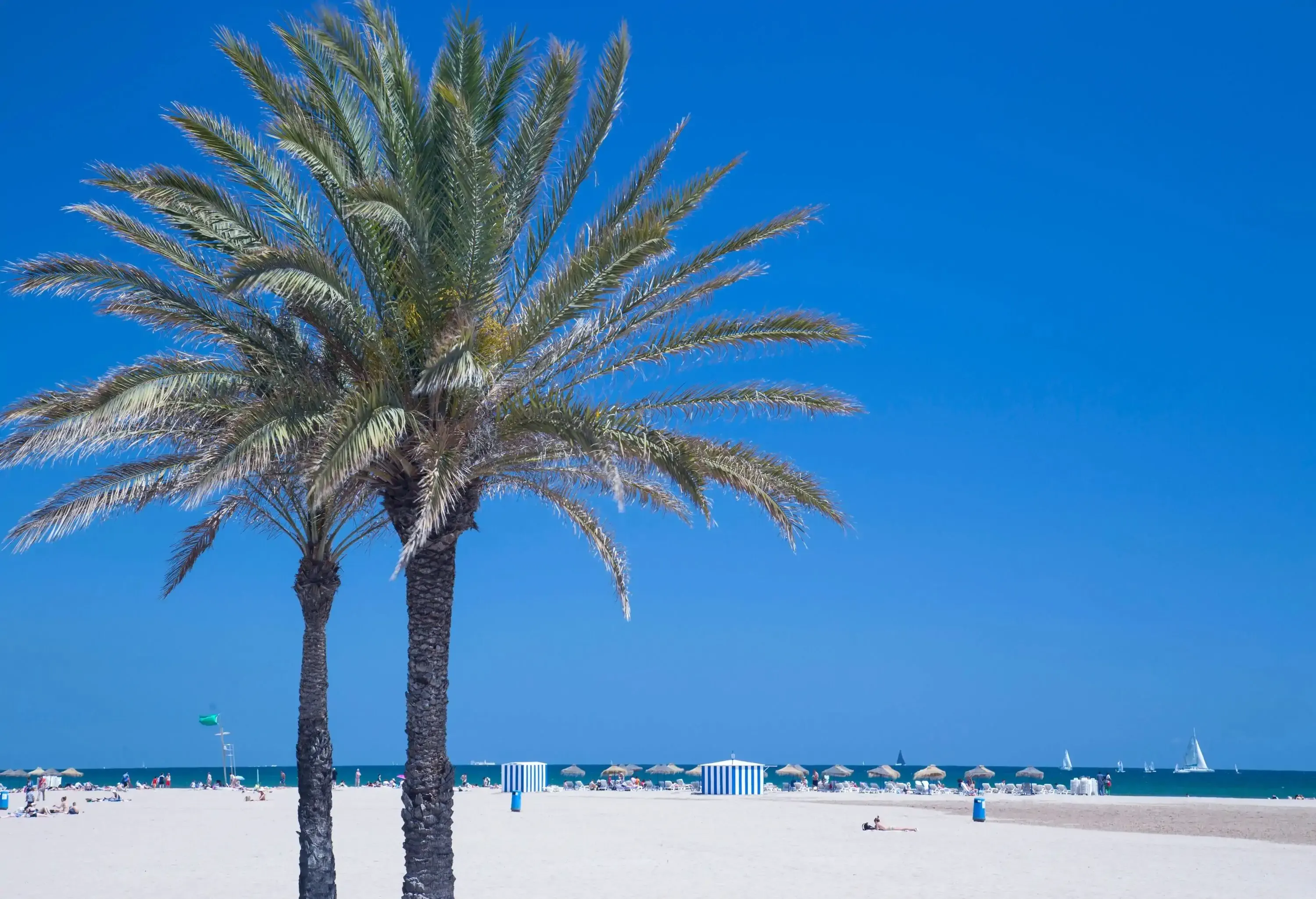 Two palm trees against the white beach and a gorgeous blue sky.