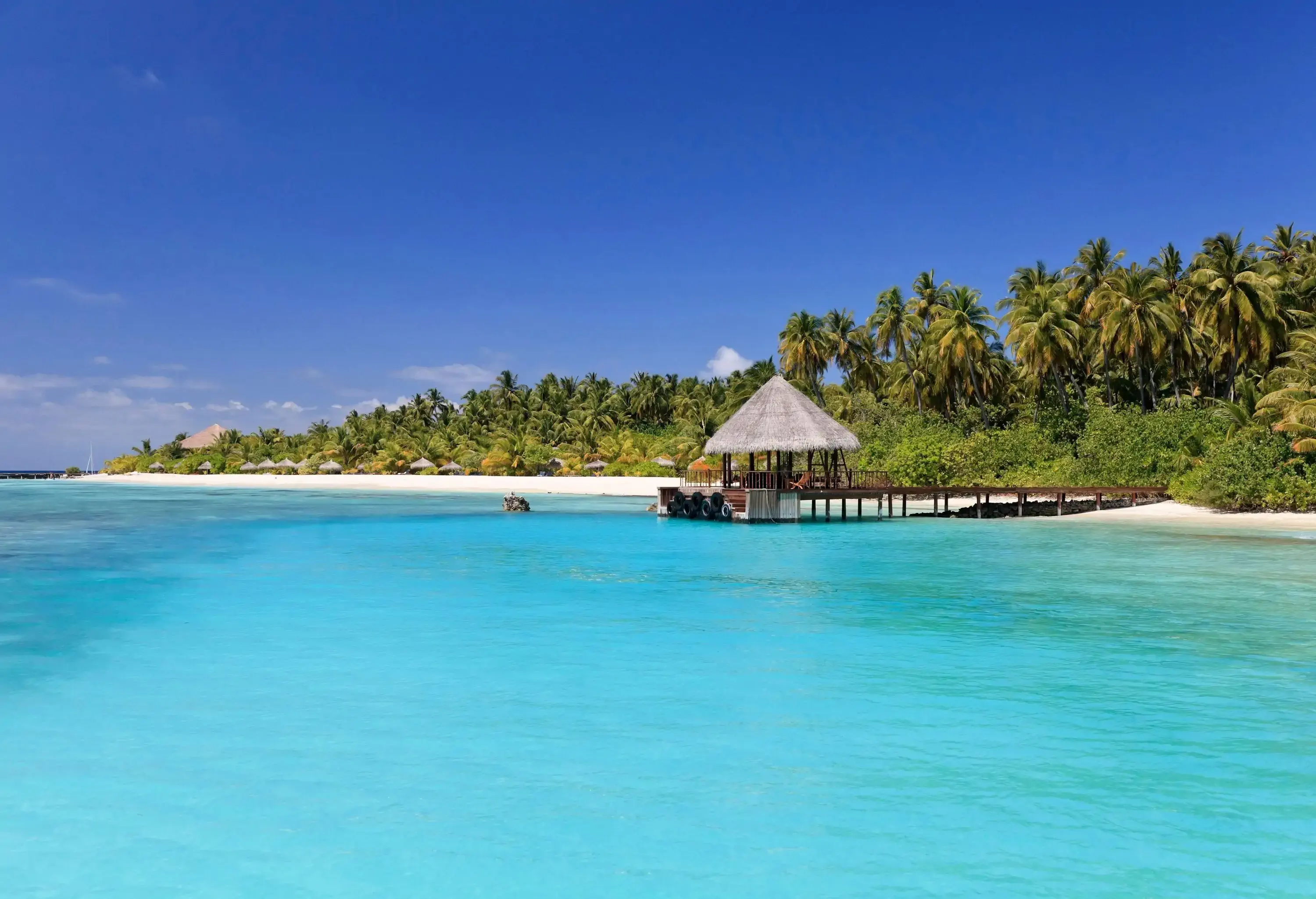 A bamboo hut at the boardwalk's edge protrudes to the turquoise sea surrounded by lush palm trees.