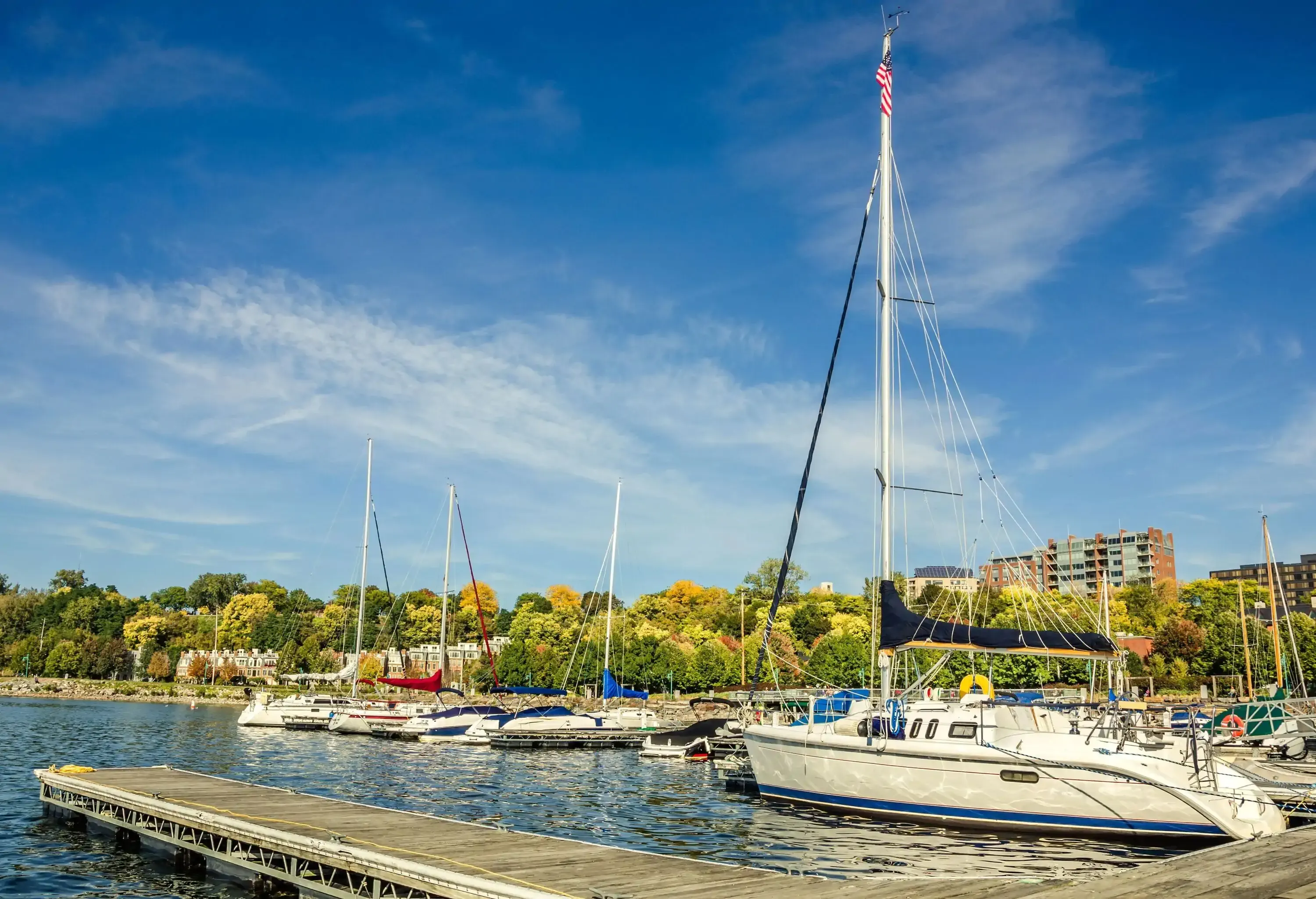 A row of sailboats anchored on a harbour with colourful autumnal trees.