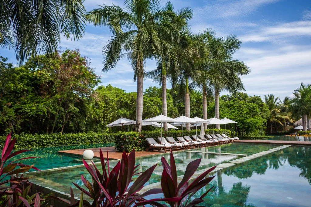 Luxurious poolside scene with rows of white lounge chairs and umbrellas under tall palm trees. Vibrant greenery and blue sky create a tranquil vibe.