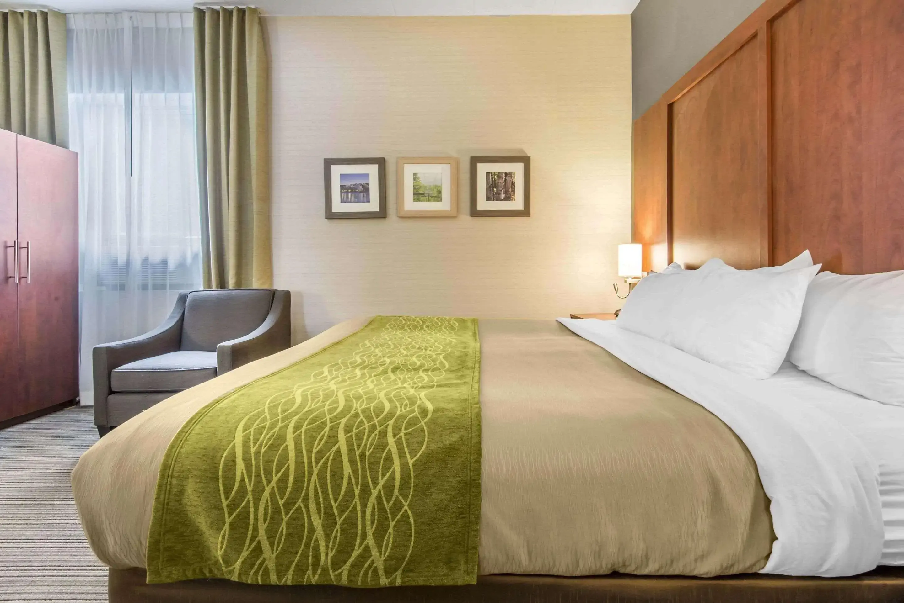 comfort-inn-suites_47843_ice-96909-photo-aspx_did2692_brochureid96909_publicid32780993_instanceid8-image