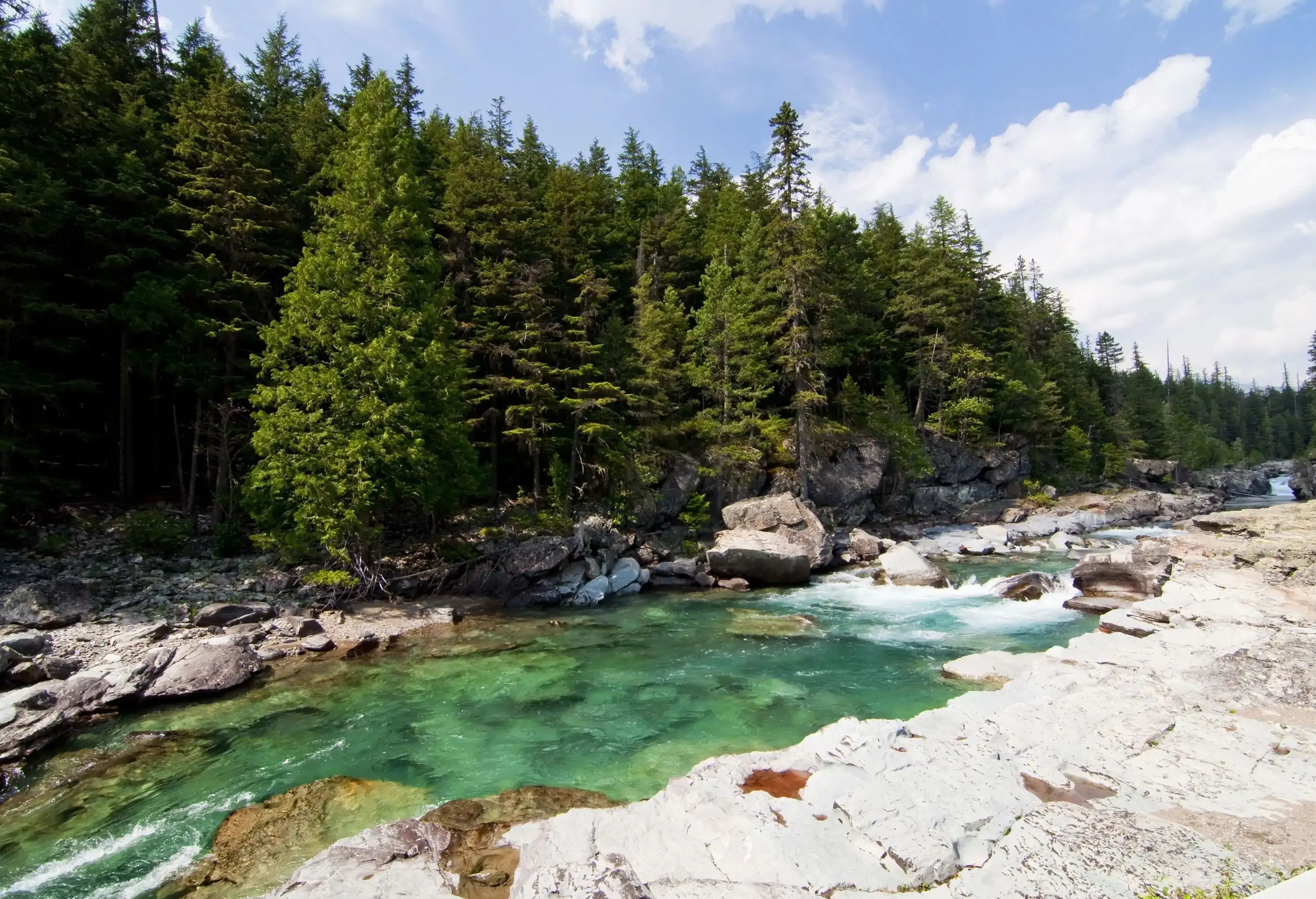 Clear river water flowing between rocks along the banks lined with trees.