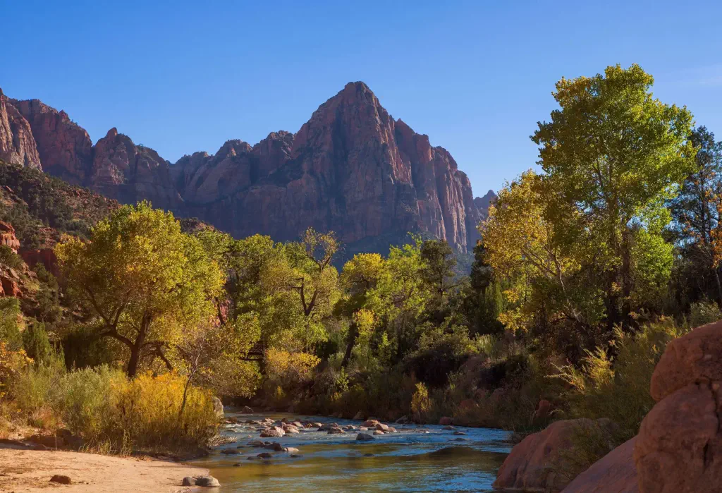 A rocky river surrounded by tall green trees and the ragged mountain range against the clear blue sky.