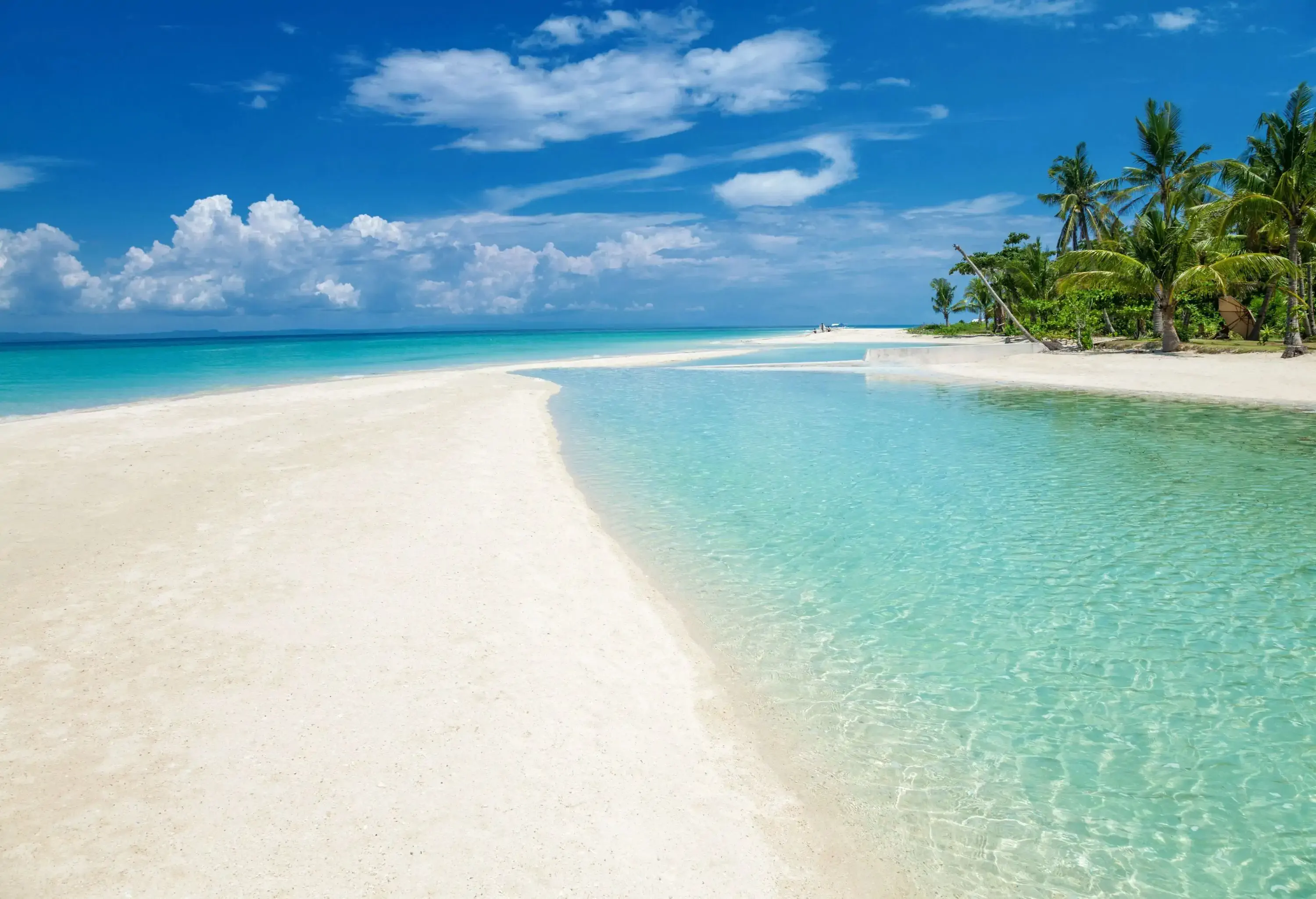 A pristine white beach along crystal-clear waters and a grove of palm trees.