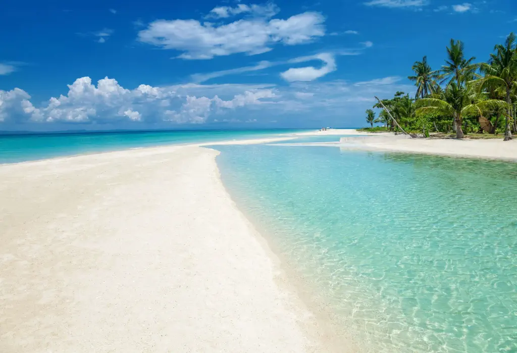 A pristine white beach along crystal-clear waters and a grove of palm trees.