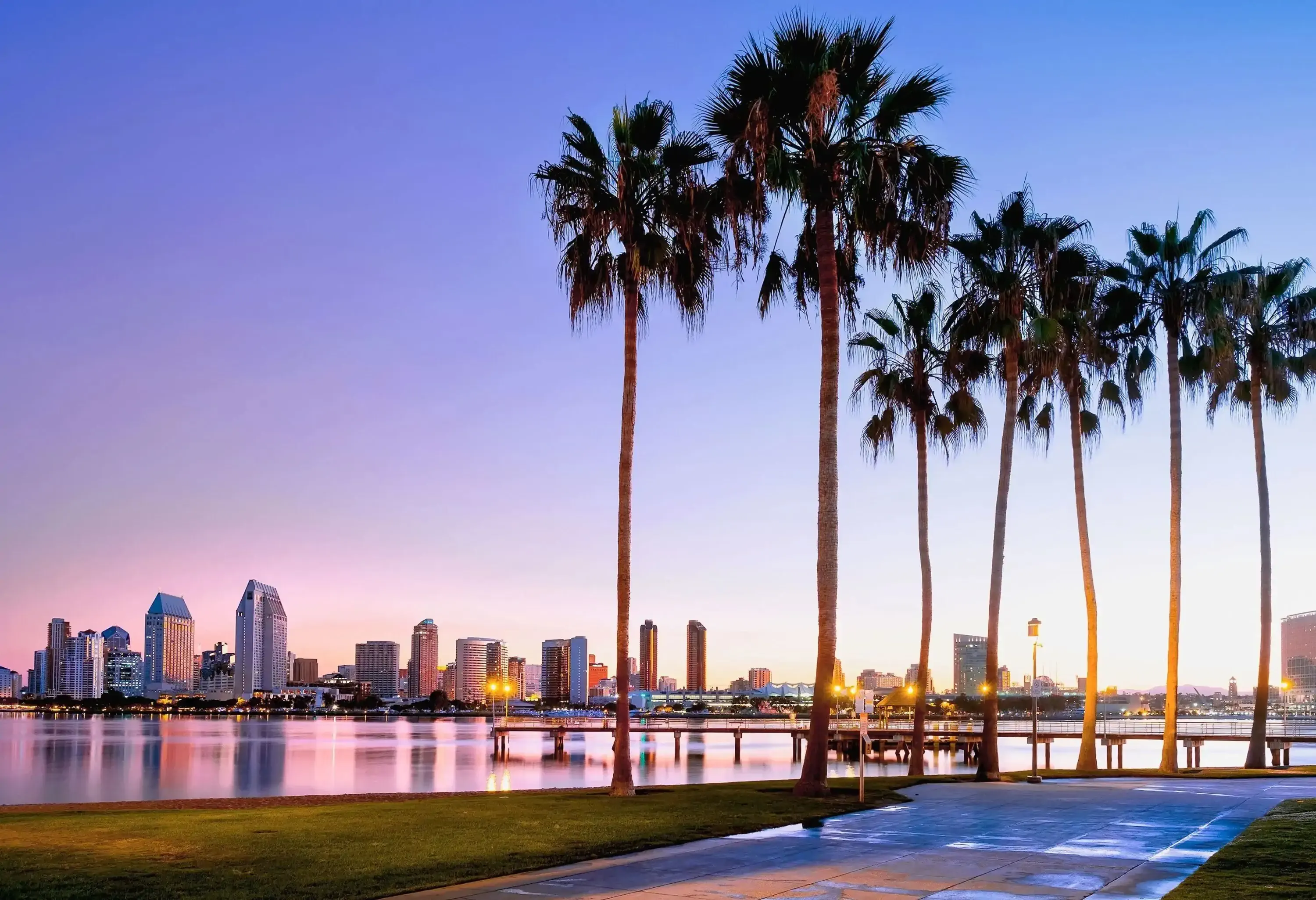 A row of majestic palm trees stands tall along the coast, framing the picturesque view of a city skyline with towering skyscrapers across the shimmering waters.