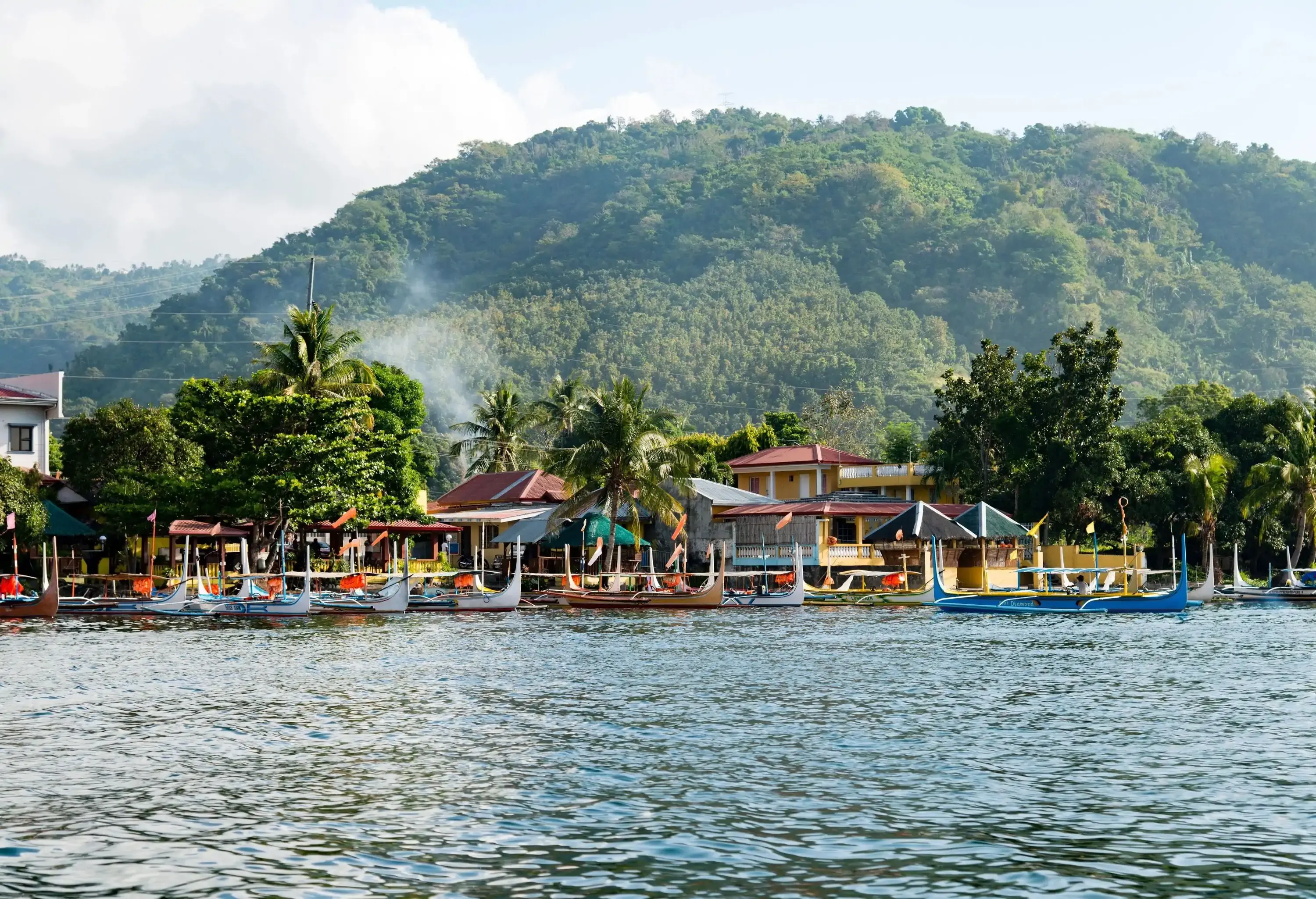 A charming coastal village nestled amidst lush trees, with boats peacefully moored by the coast, all set against the backdrop of verdant hills.
