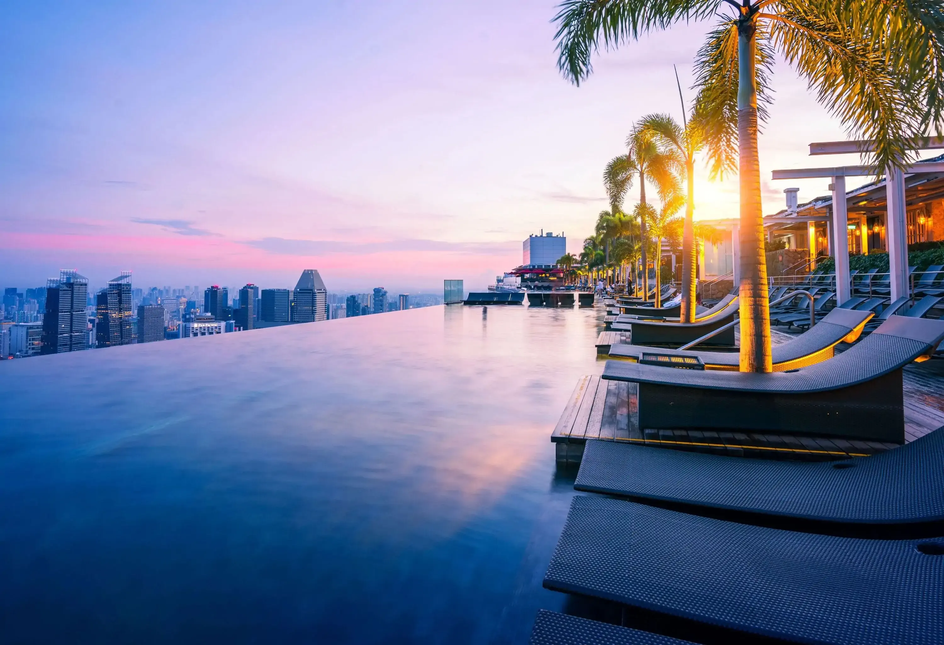 A dazzling rooftop infinity pool lined with sun loungers under the sunlit palm trees and a stunning city skyline view.