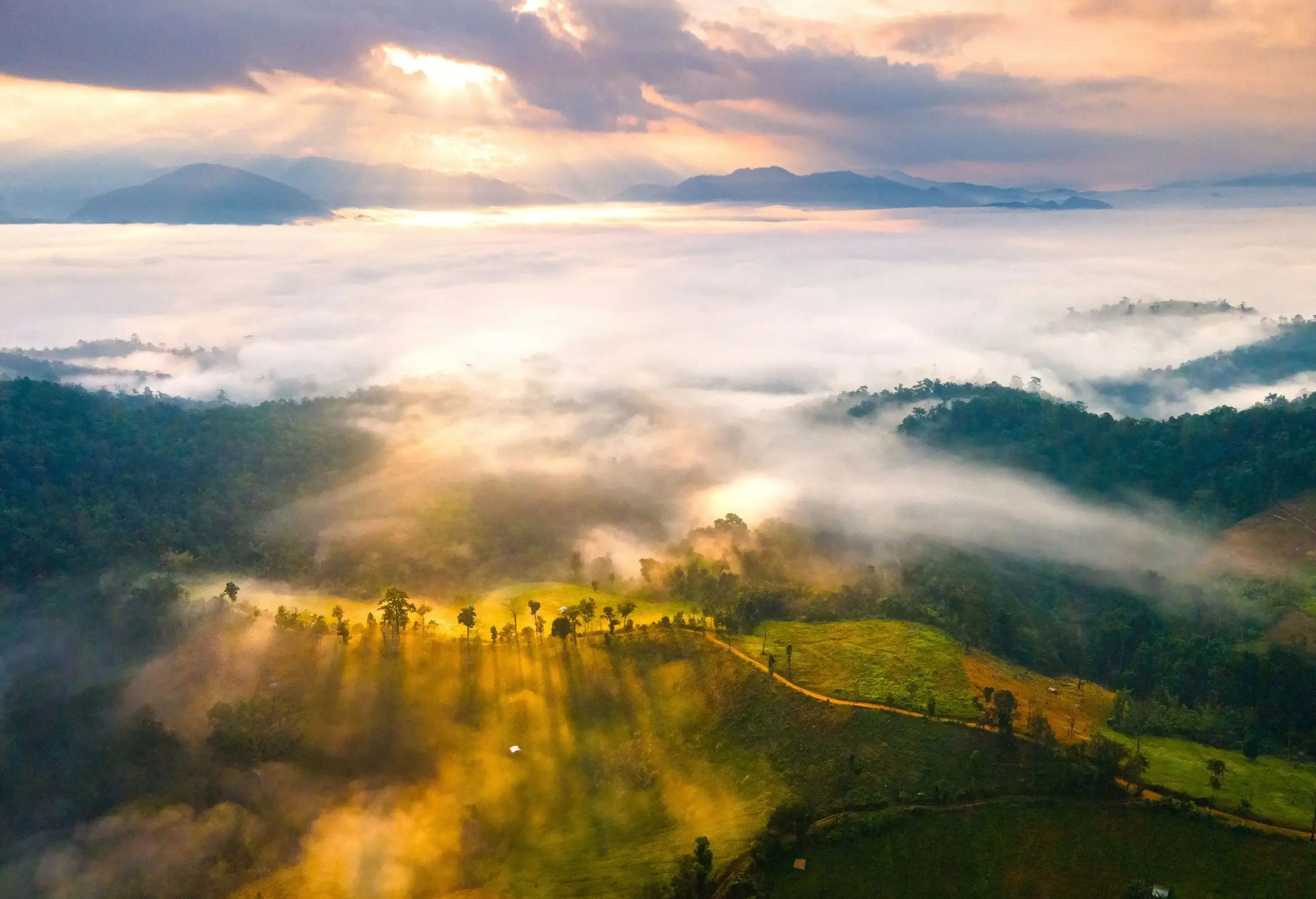 A sunlit lush forested mountaintop surrounded by a sea of clouds against a dramatic sky.
