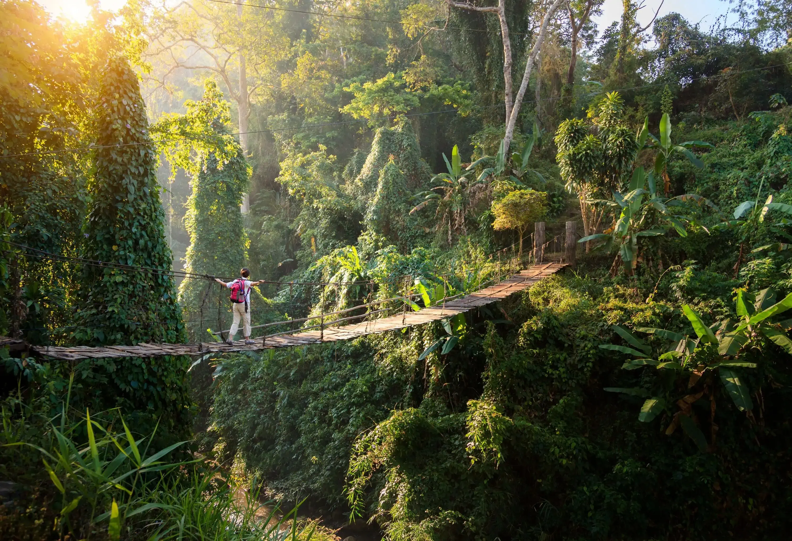 A hiker with a backpack walking across a shaky suspension bridge in the woods.