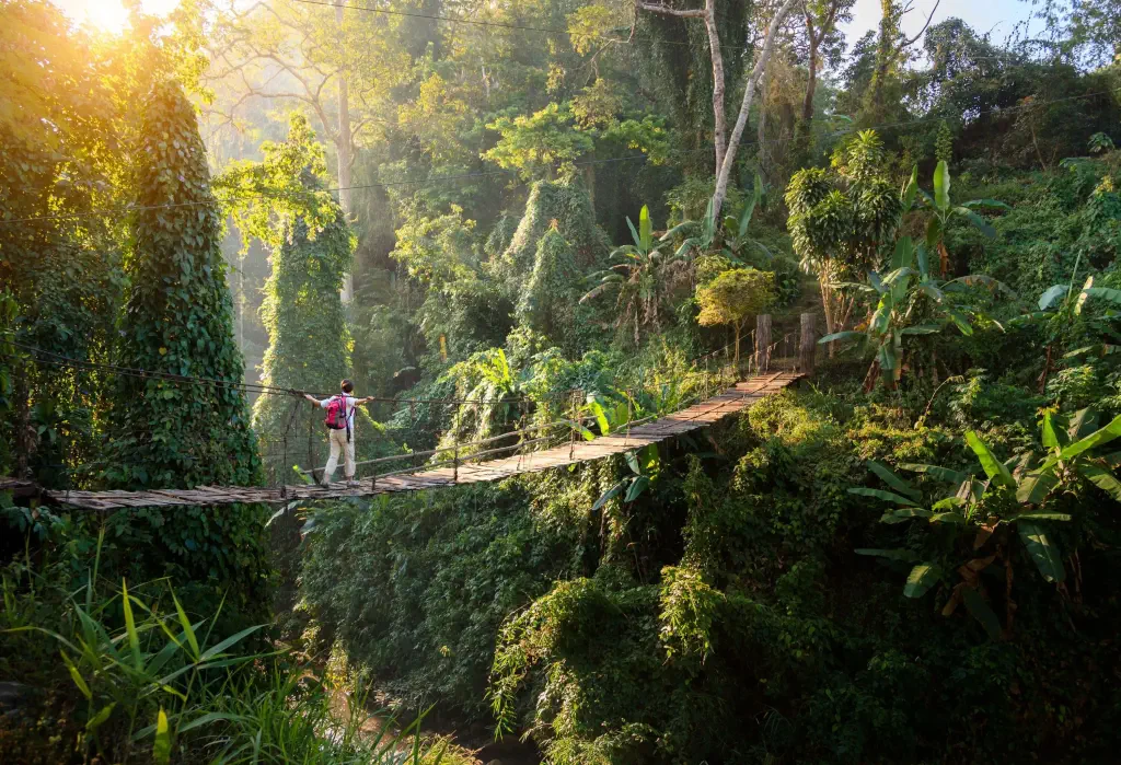 A hiker with a backpack walking across a shaky suspension bridge in the woods.