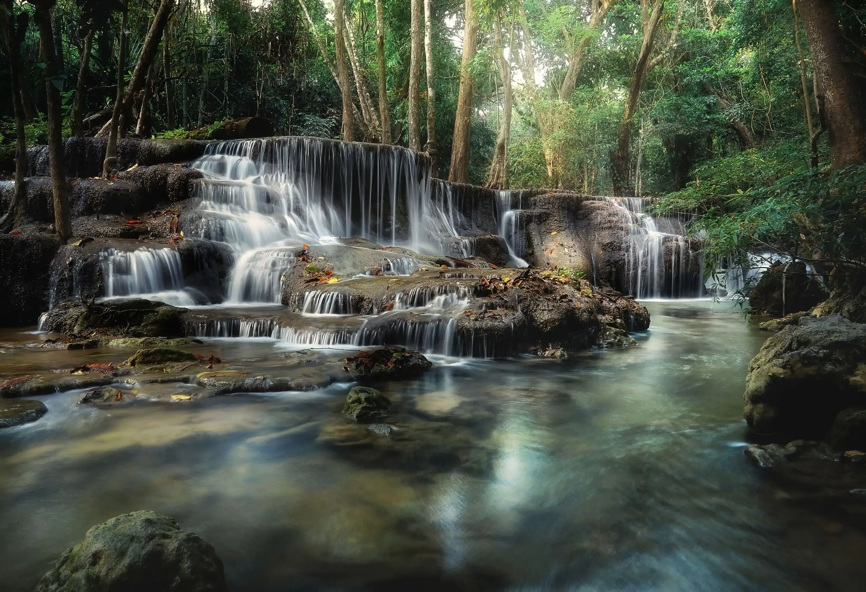 A low-volume waterfall cascades into a stream in a tropical forest.