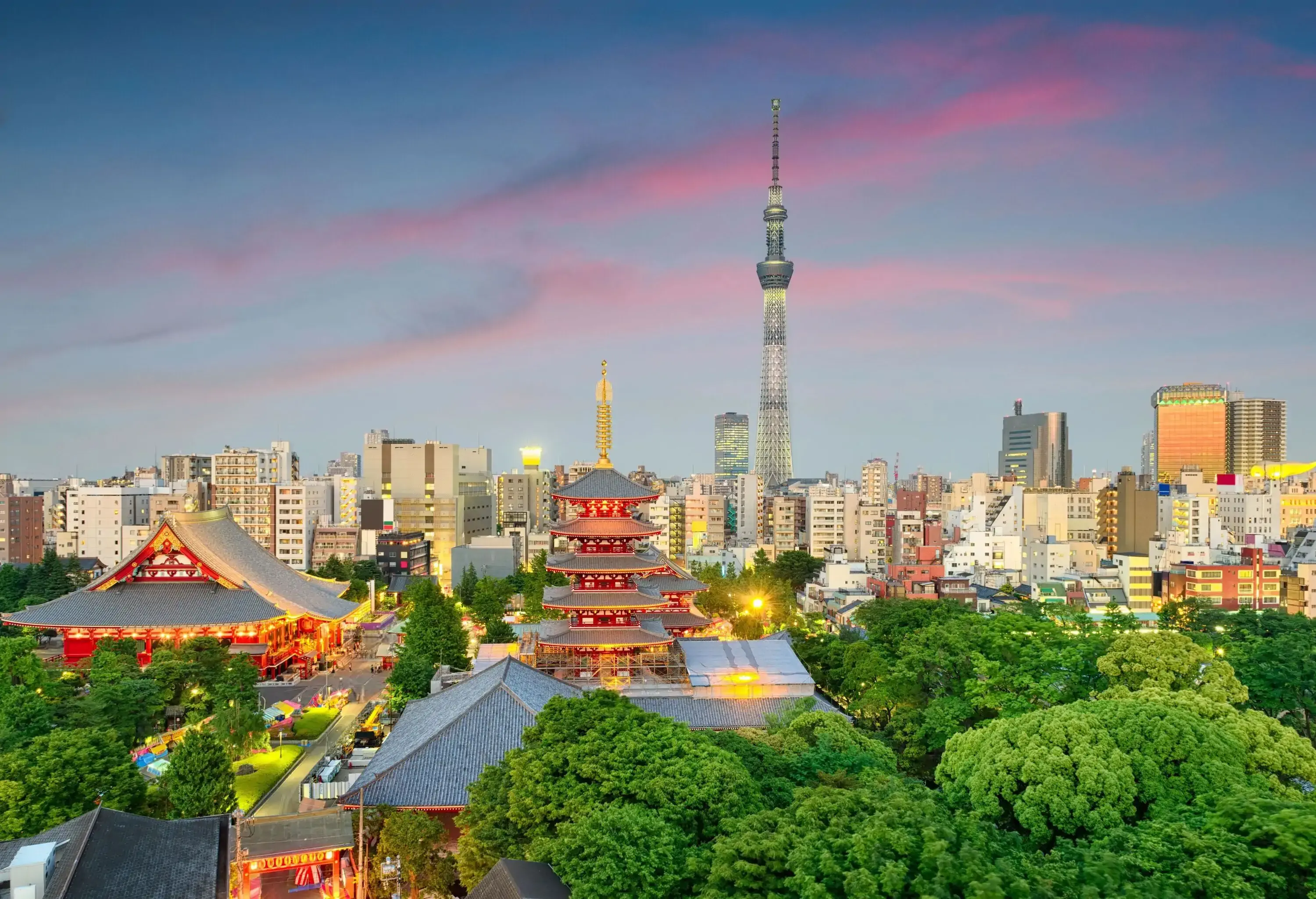 A city skyline, elegantly framed by a lush canopy of trees, offers a stunning view of the Tokyo Skytree soaring high above.