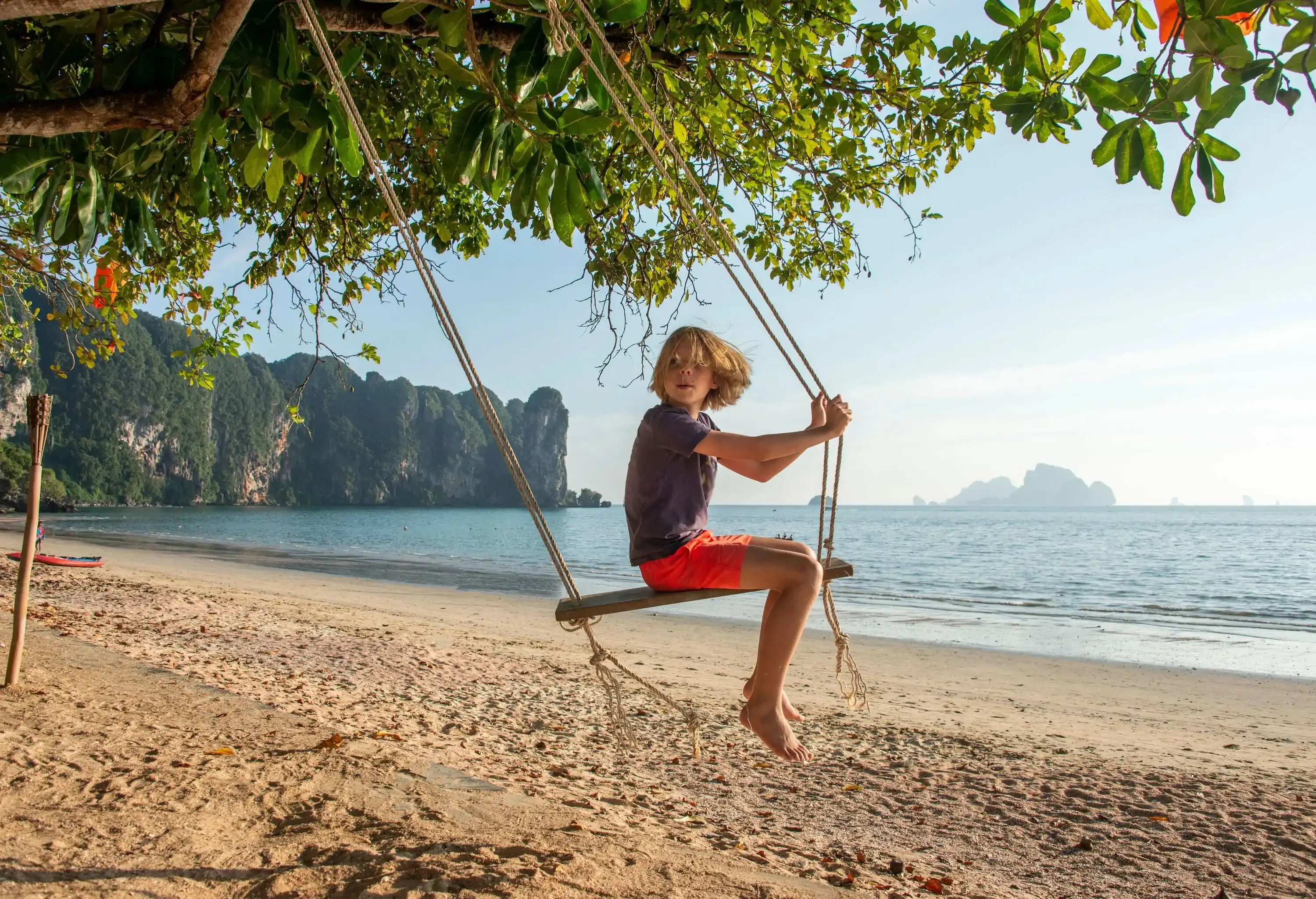 A joyful child soars on a swing, suspended from a sturdy tree, as the gentle sound of waves and the calming beauty of the beach serve as a backdrop.