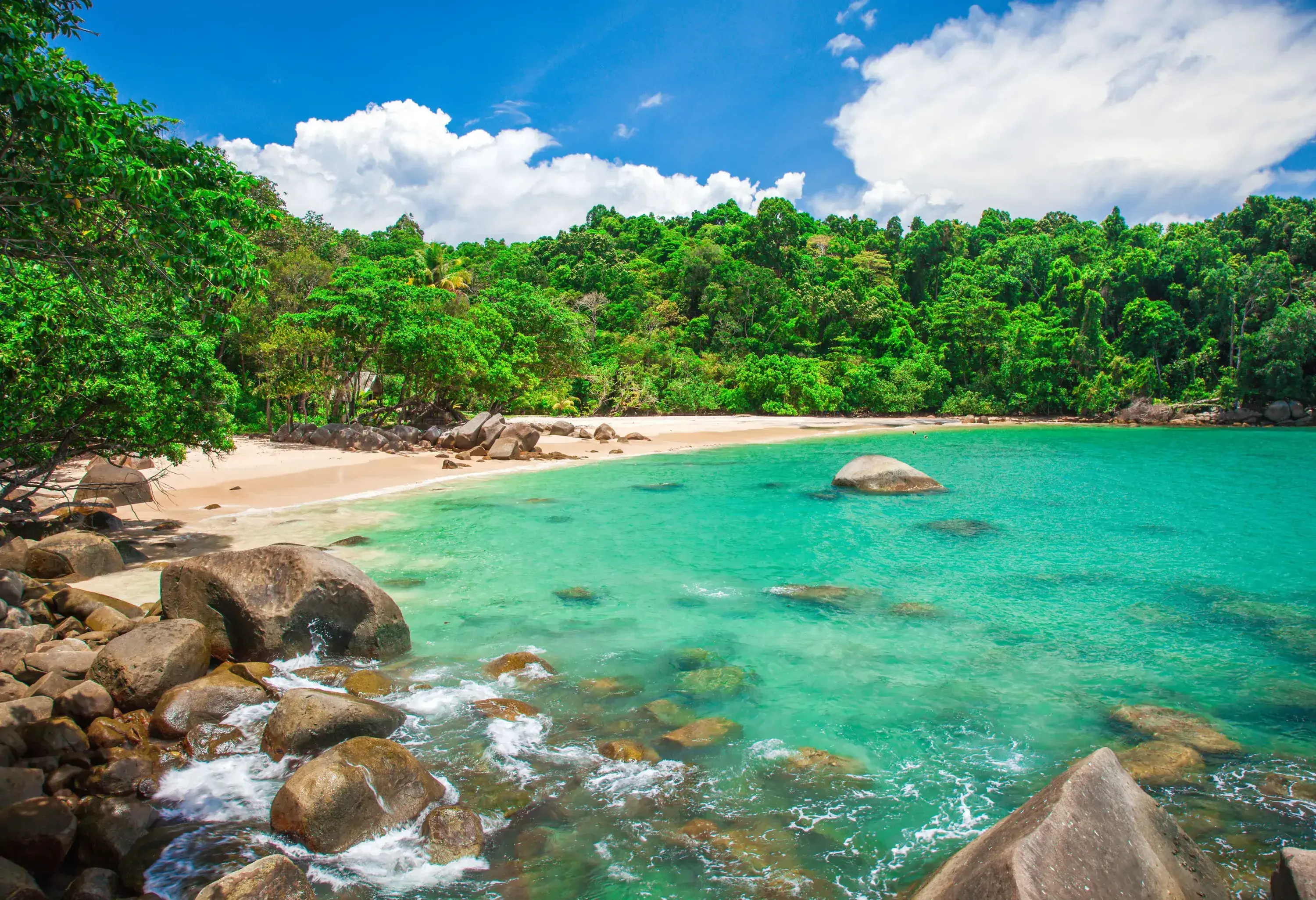 A secluded sandy beach with boulders surrounded by tall green trees by the turquoise sea water.